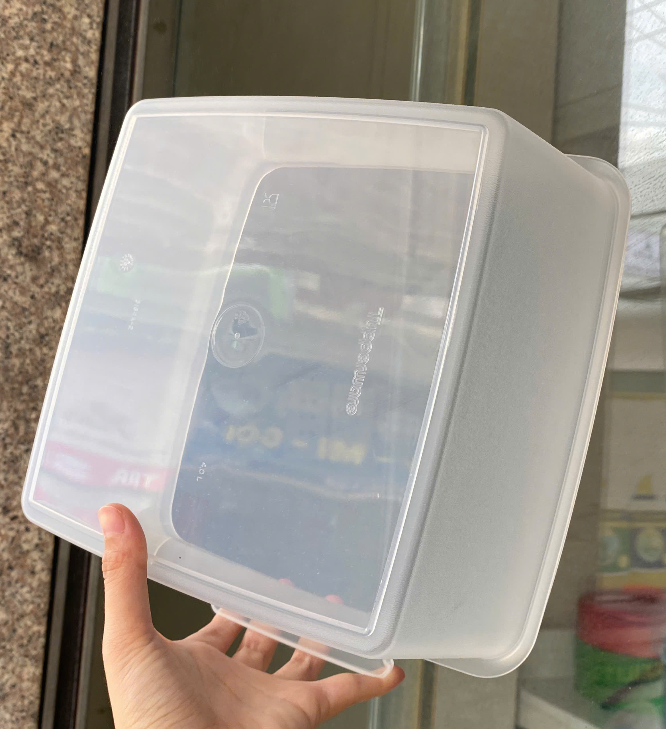 Tuptrung - Hộp trữ mát vuông nắp đỏ có quai xách 4L Jumbo Goody Box With Cariolier