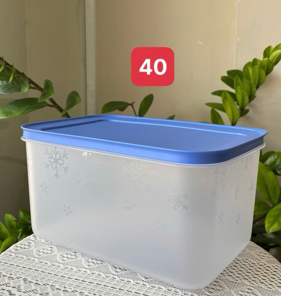 Tupmalay - Hộp Trữ Đông Thân Trong Bông Tuyết Nắp Xanh Dương Đậm - Tupperware