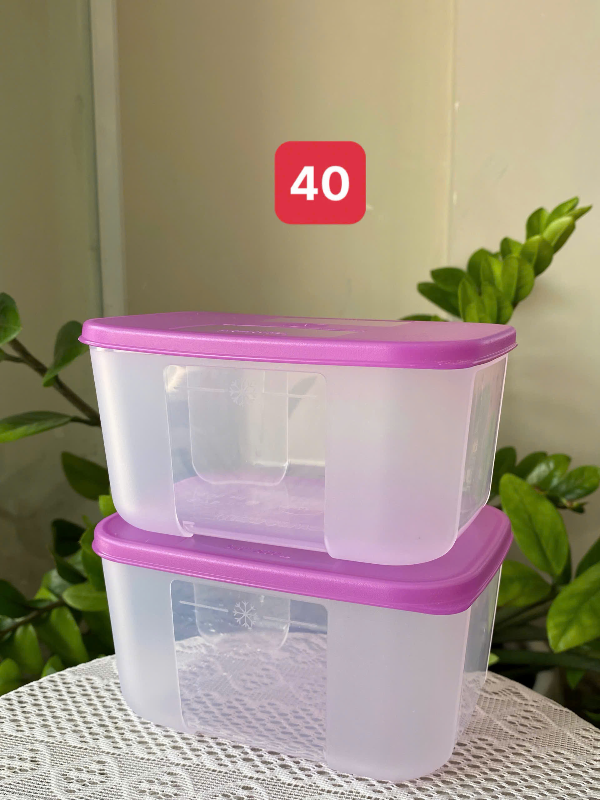 Tupmalay - Hộp Trữ Đông Basic 650ml Nắp Tím