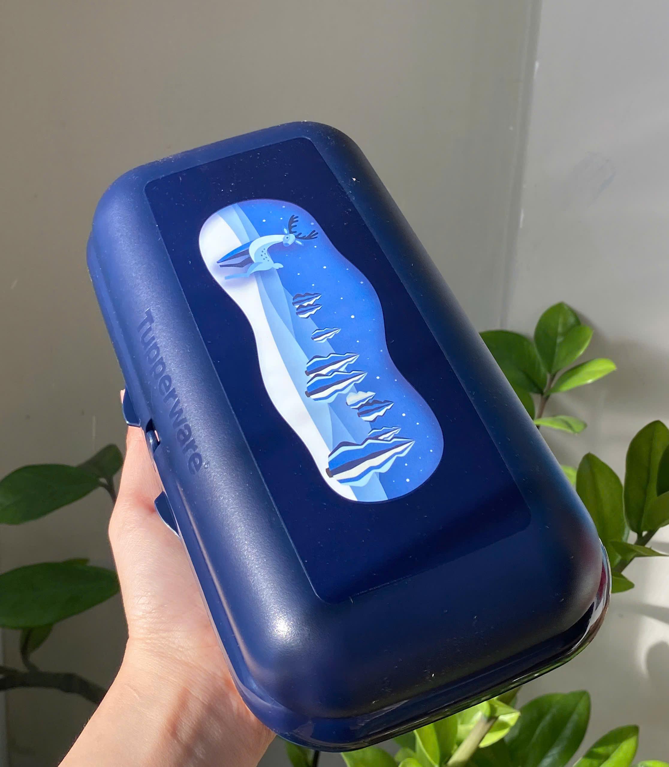 Tupmalay - Bộ 3 Hộp Đựng Humberger, Snack Màu Xanh - Oyester Set - Tupperware