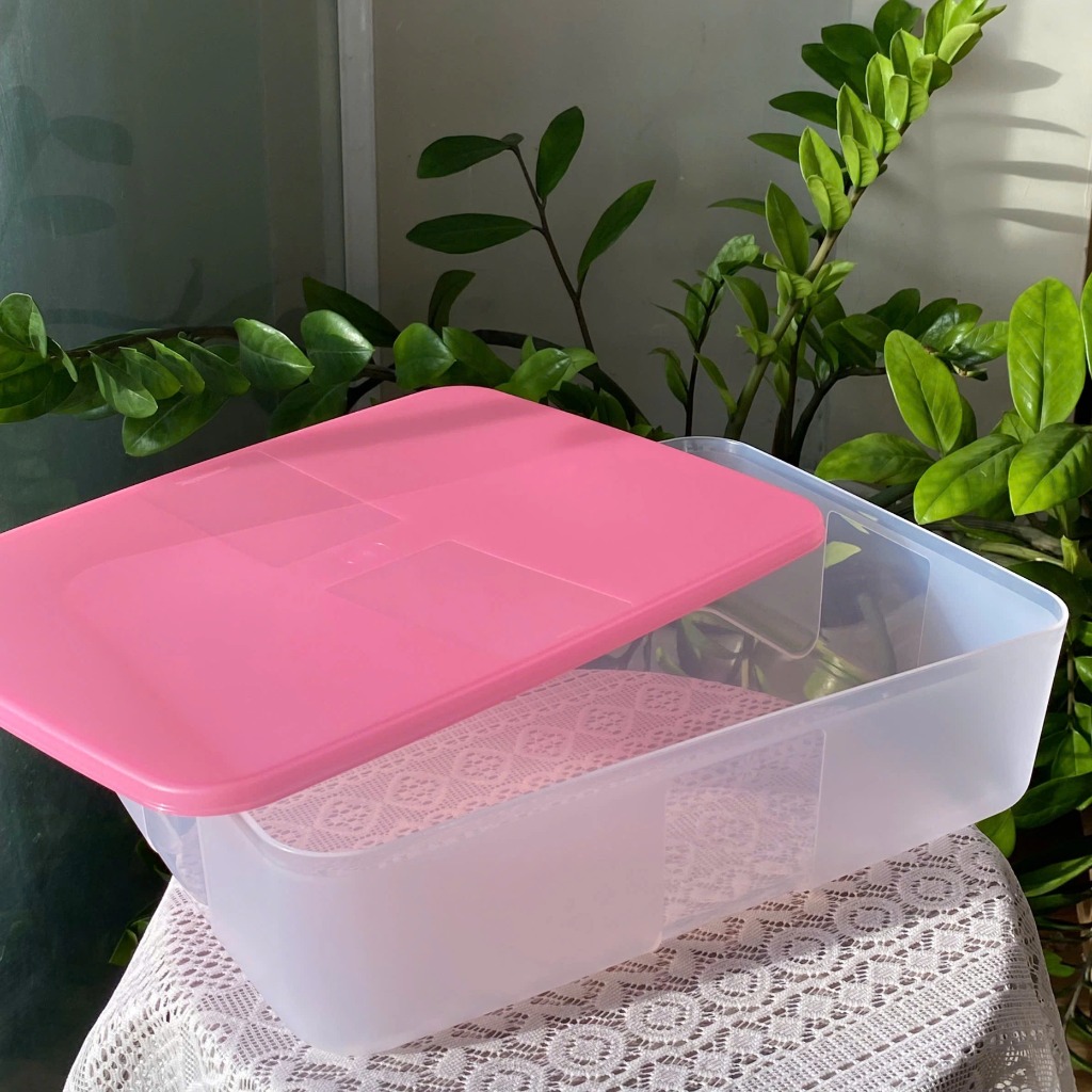 Hộp Tupperware Trữ Đông  3.1L Essential - Tupperware Malaysia Chính Hãng