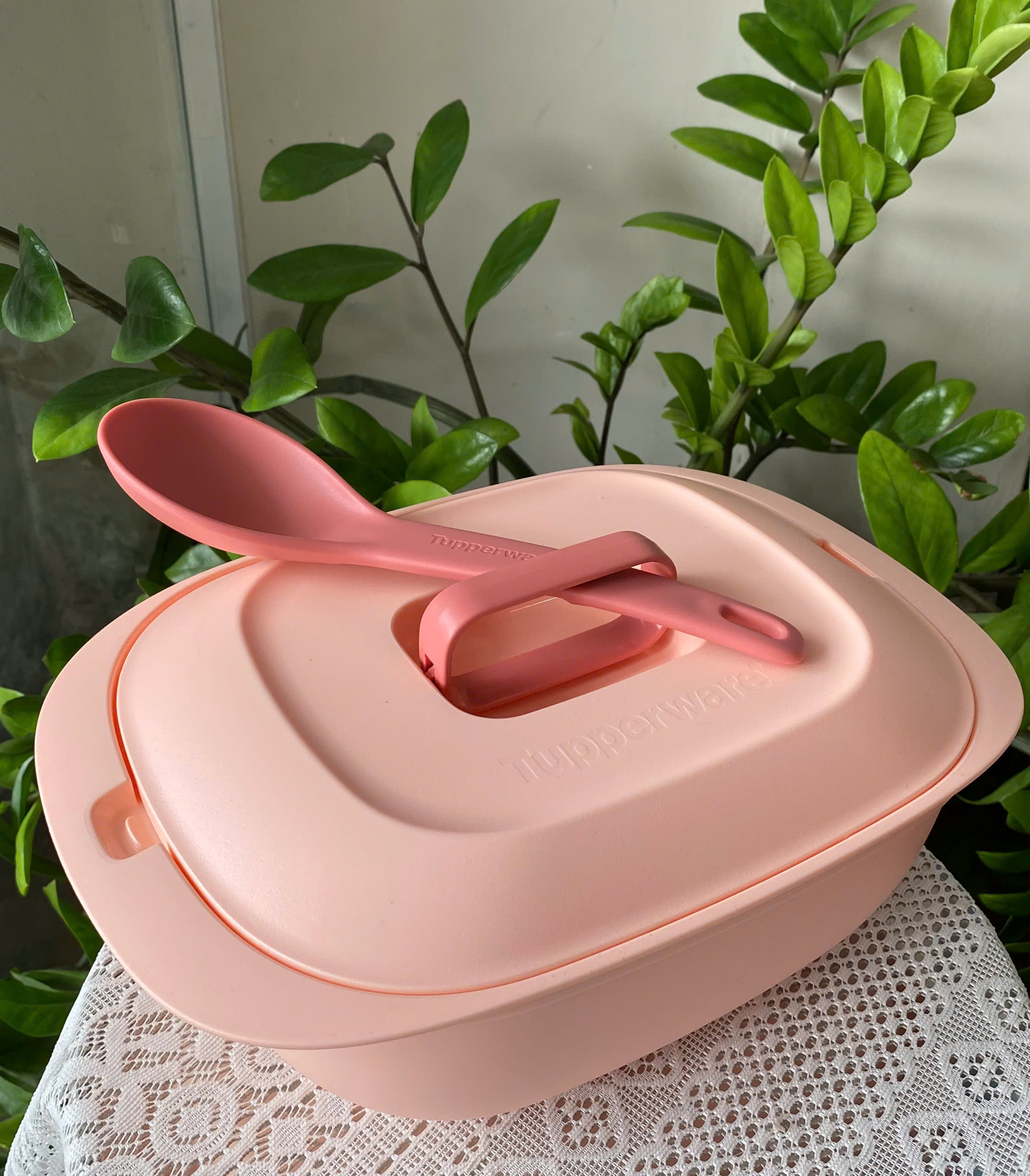 Tupmalay - Thố Đựng Cơm Kèm Vá Nhựa Mềm Đục - Gourmet Set Server Bekas Hidang Lauk Dengan Penutup Food Container with Lid -  Tupperware