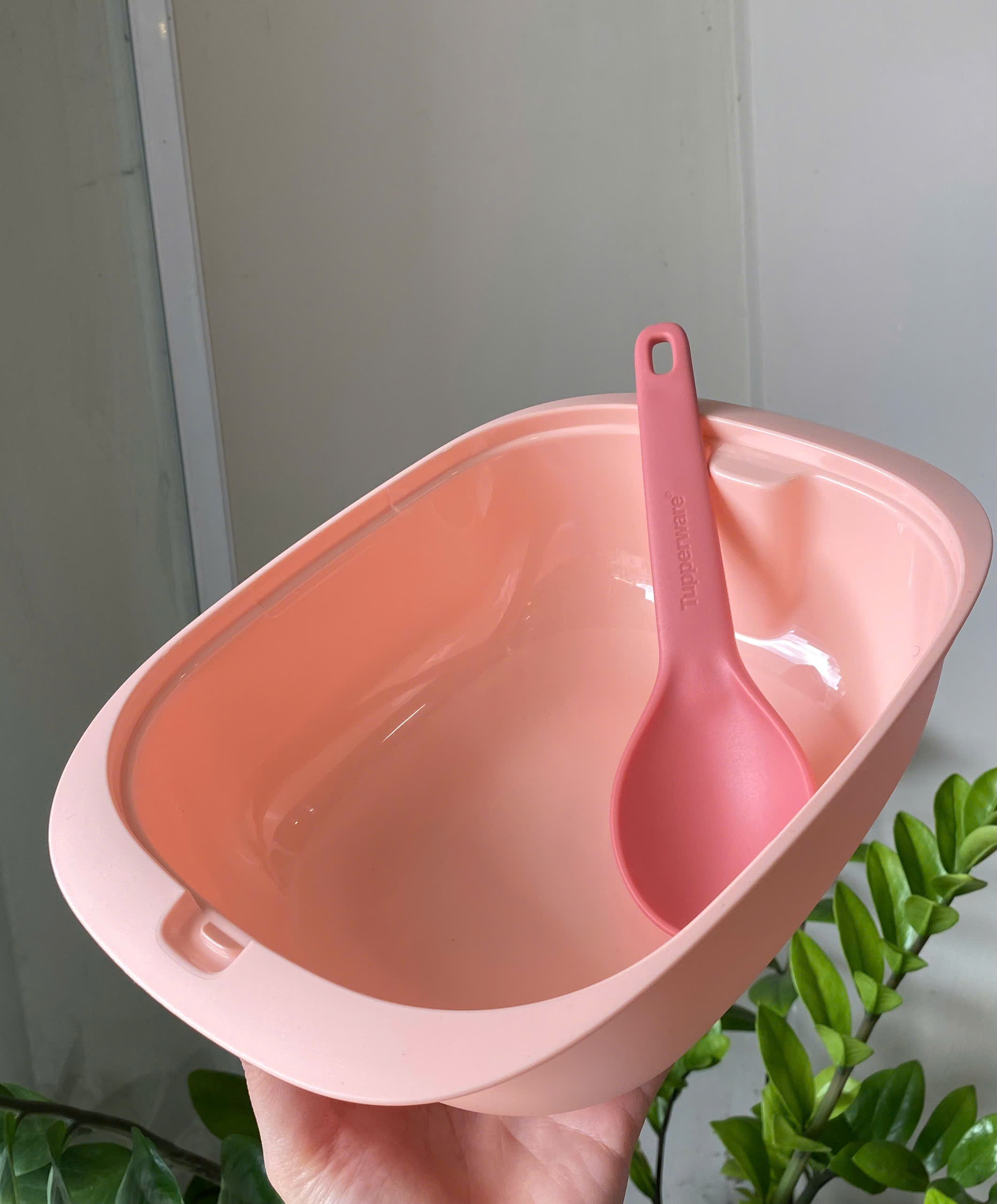 Tupmalay - Thố Đựng Cơm Kèm Vá Nhựa Mềm Đục - Gourmet Set Server Bekas Hidang Lauk Dengan Penutup Food Container with Lid -  Tupperware