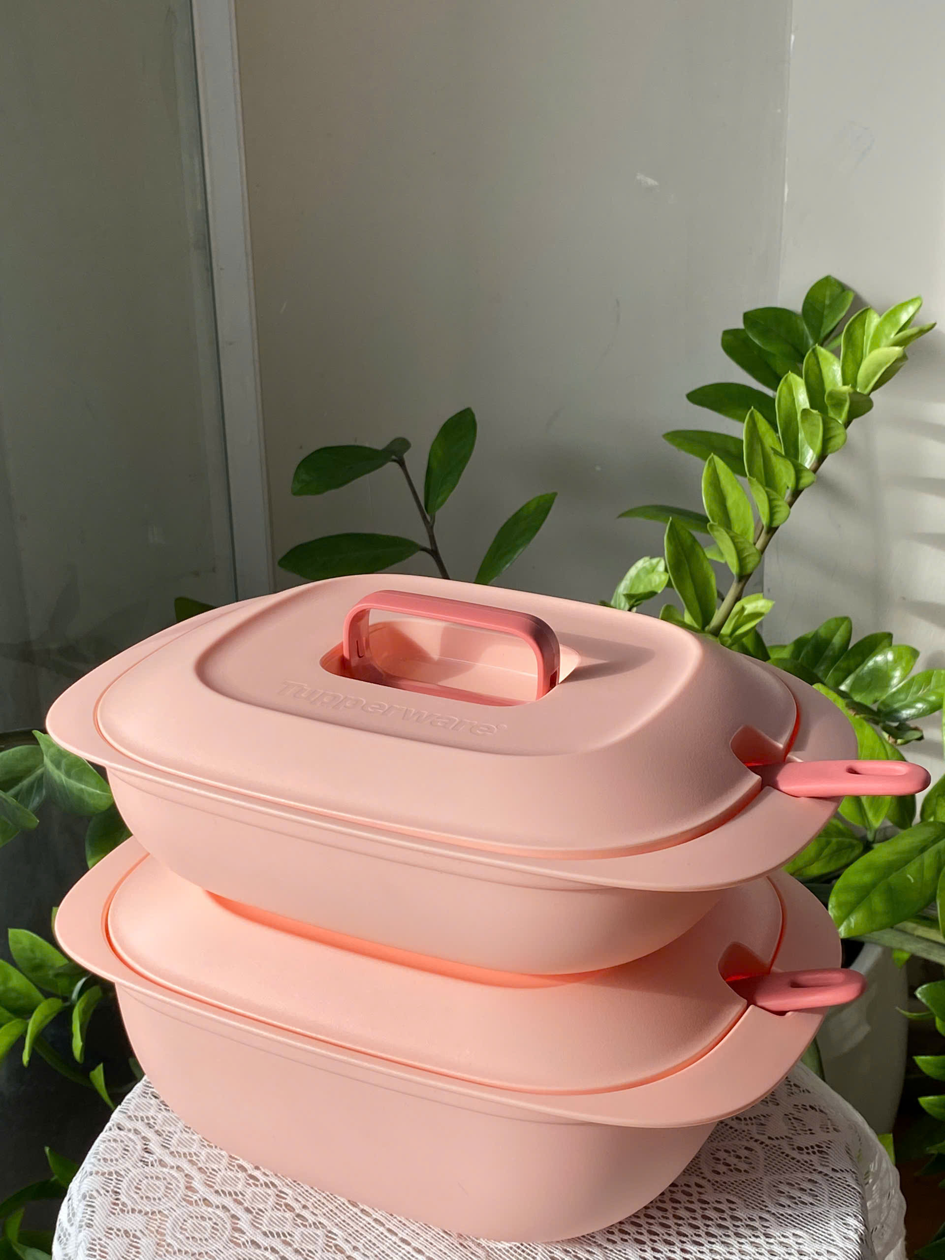 Tupmalay - Thố Đựng Cơm Kèm Vá Nhựa Mềm Đục - Gourmet Set Server Bekas Hidang Lauk Dengan Penutup Food Container with Lid -  Tupperware