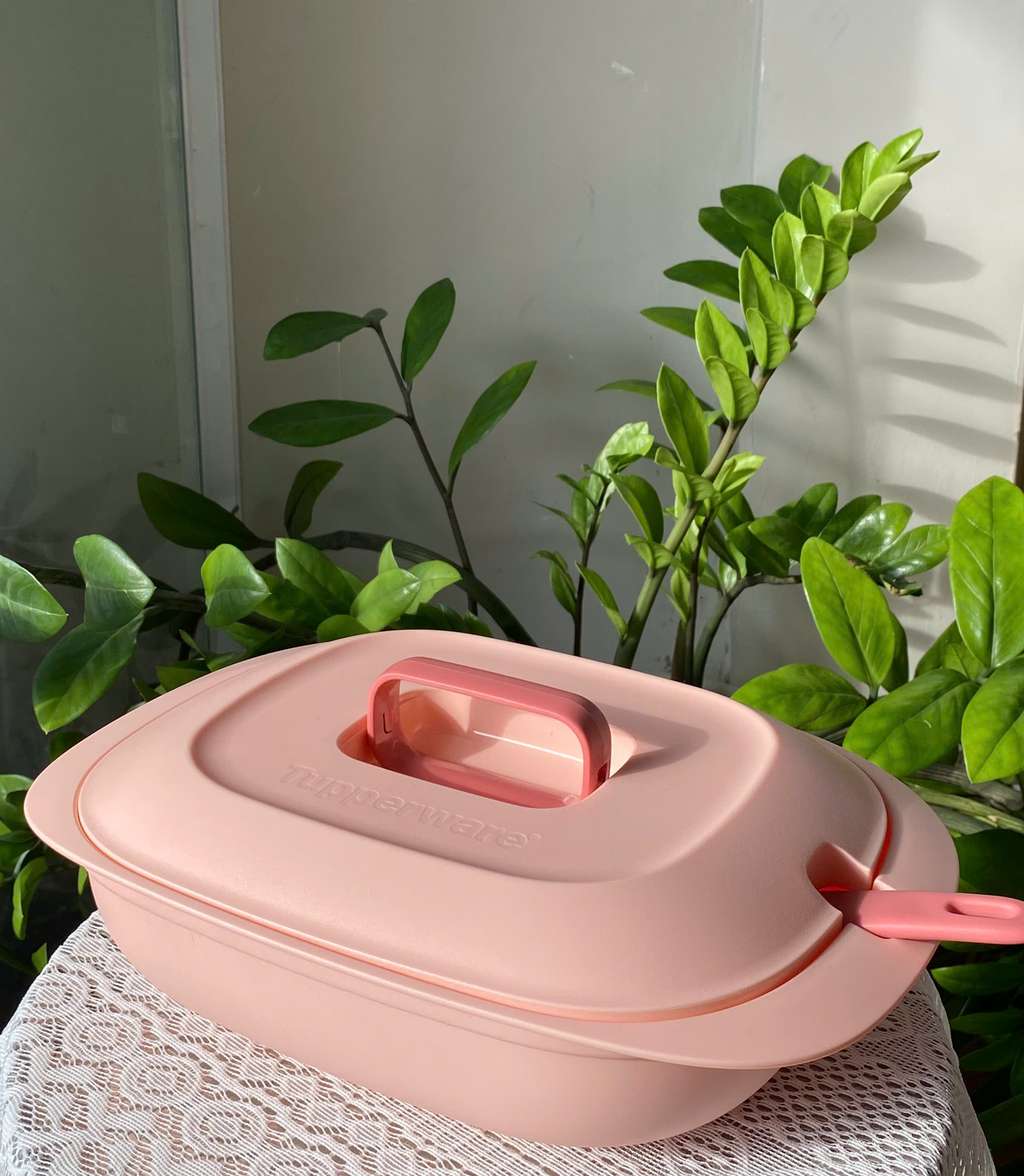 Tupmalay - Thố Đựng Cơm Kèm Vá Nhựa Mềm Đục - Gourmet Set Server Bekas Hidang Lauk Dengan Penutup Food Container with Lid -  Tupperware