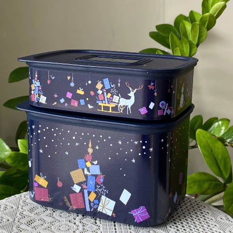 Bộ 2 Hộp Tupperware Trữ Mát Mùa Đông Limited Winter Fantasy Dark Blue Set Baseline Canister 500ml 1.3L - Tupperware Malaysia Chính Hãng