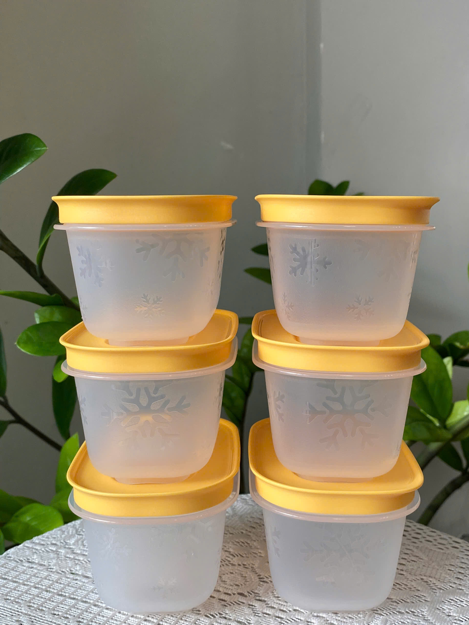 Tuptrung - Hộp Đông 170ml Thân Trong Nắp Vàng (01 Hộp)