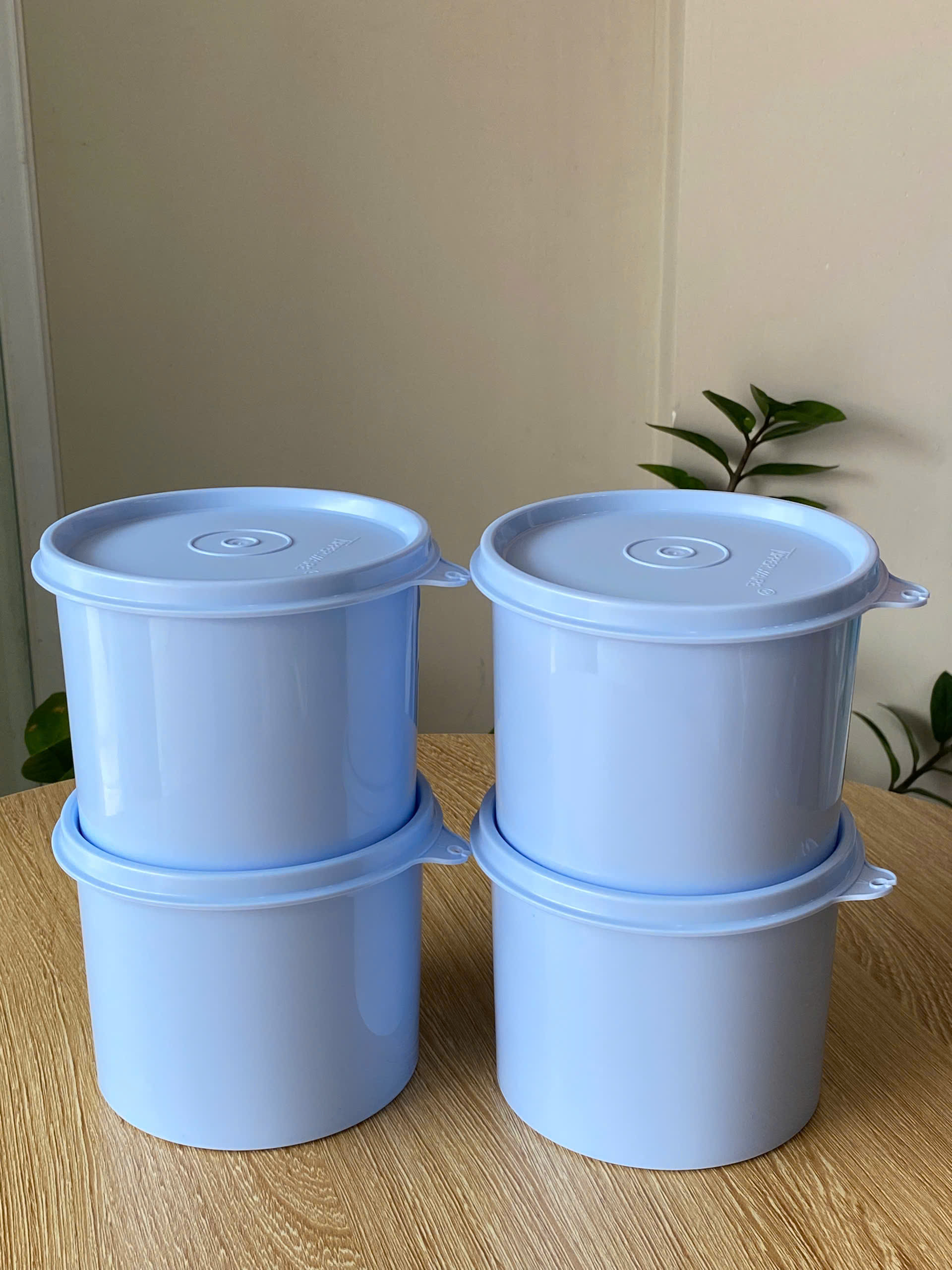 Tupmalay - Hộp Trữ Mát Hình Trụ Tupperware Compact Canister 600ml