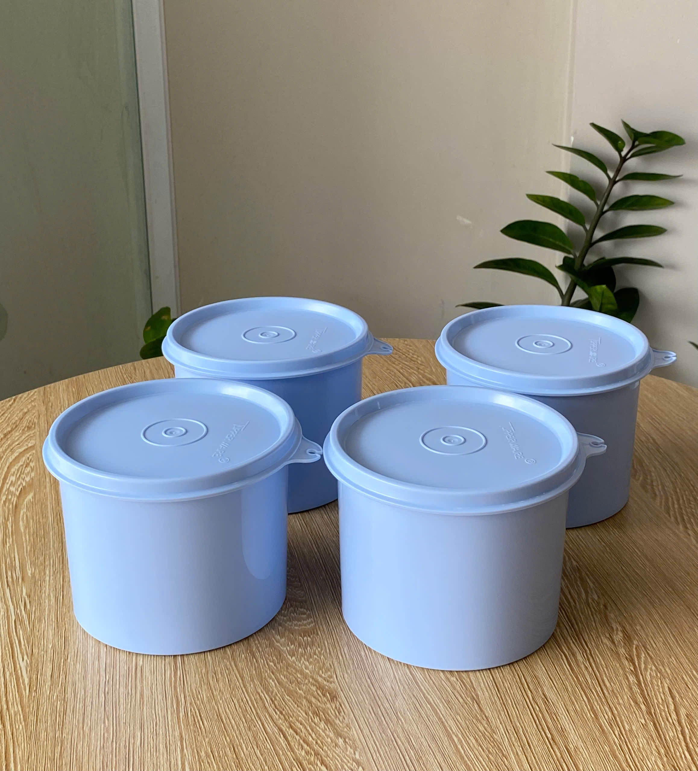 Tupmalay - Hộp Trữ Mát Hình Trụ Tupperware Compact Canister 600ml