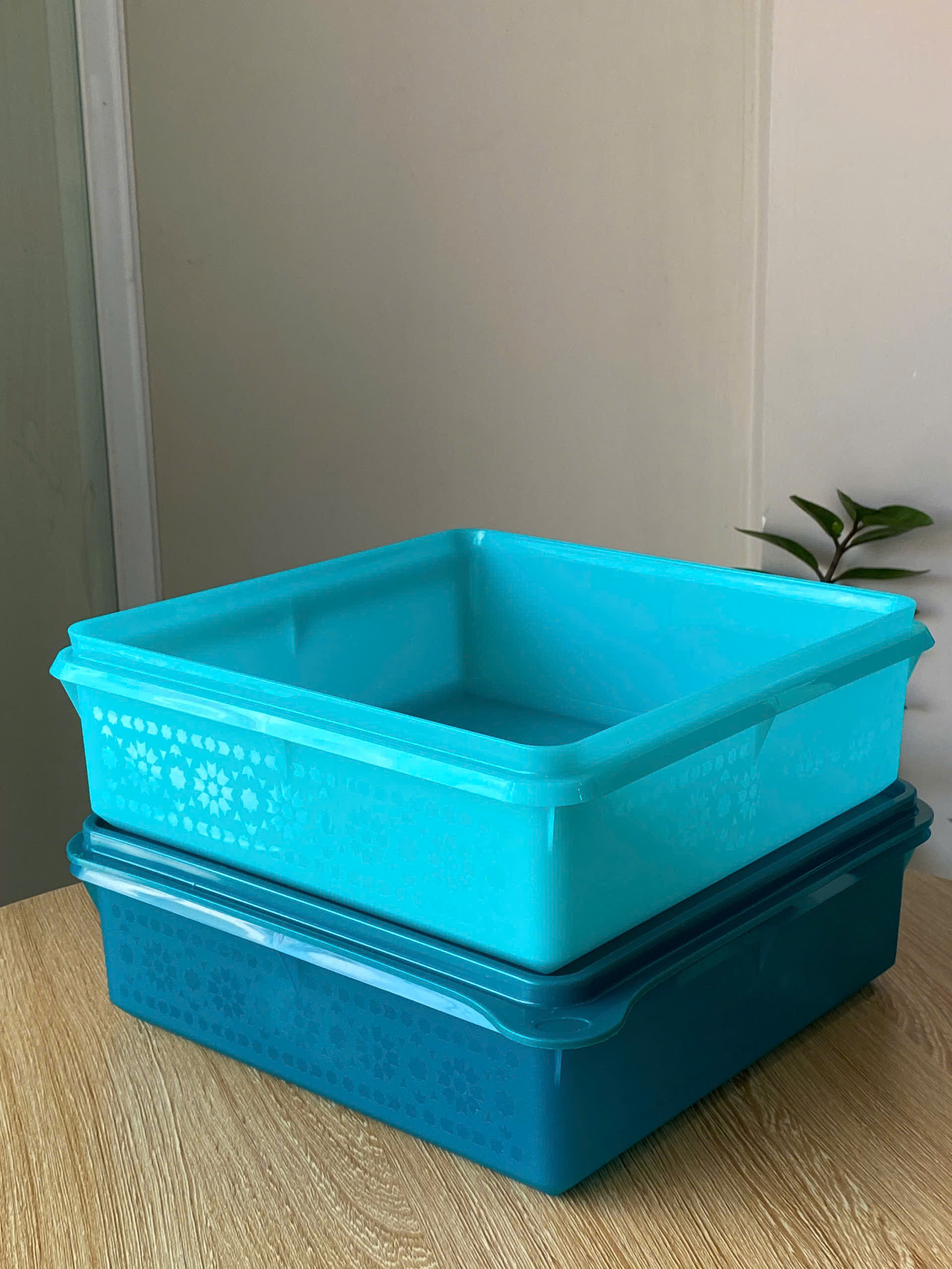 Tupmalay - Hộp Vuông Trữ Mát Mosaic Keeper 2.9 L (1 Hộp)