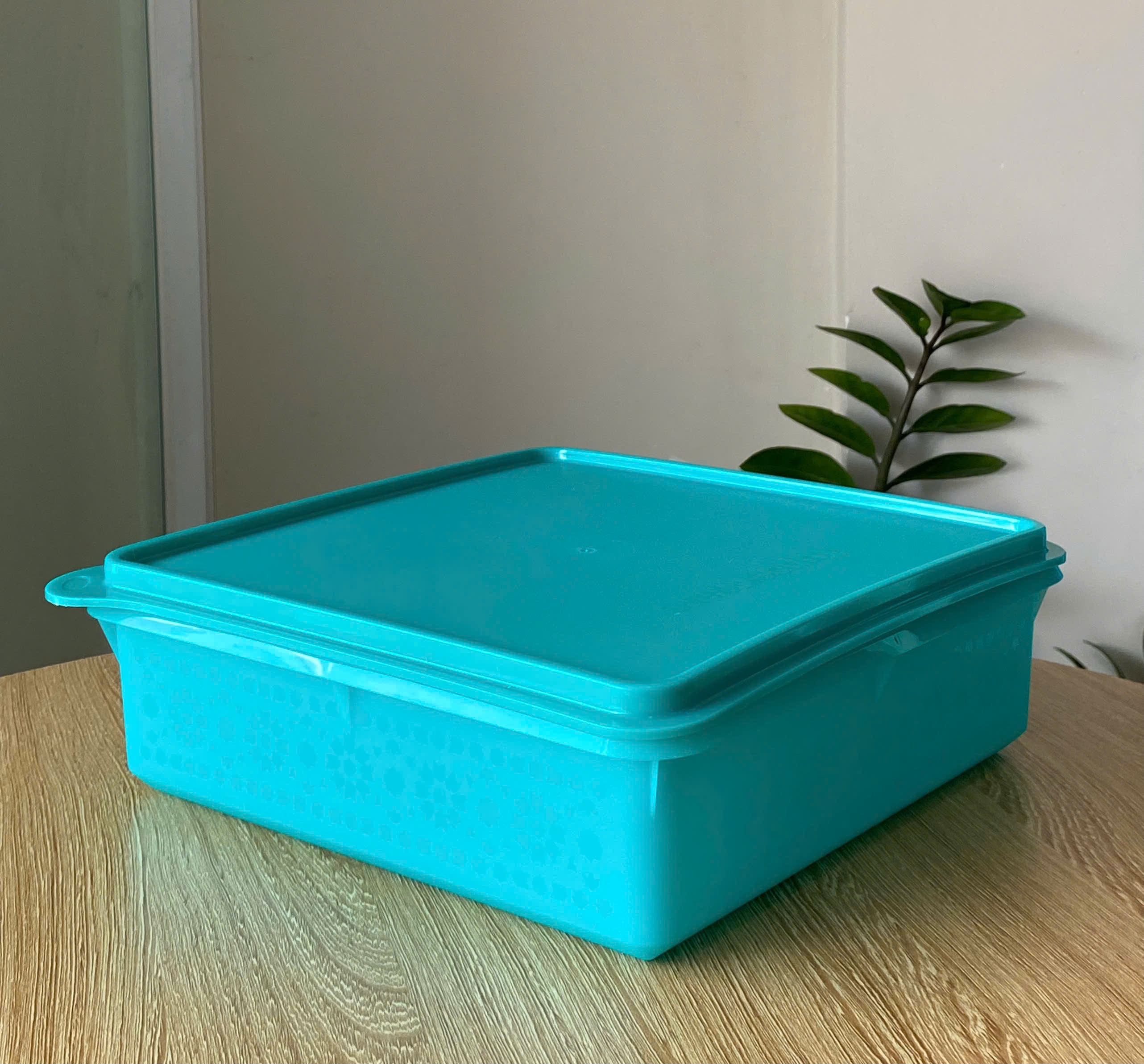 Tupmalay - Hộp Vuông Trữ Mát Mosaic Keeper 2.9 L (1 Hộp)