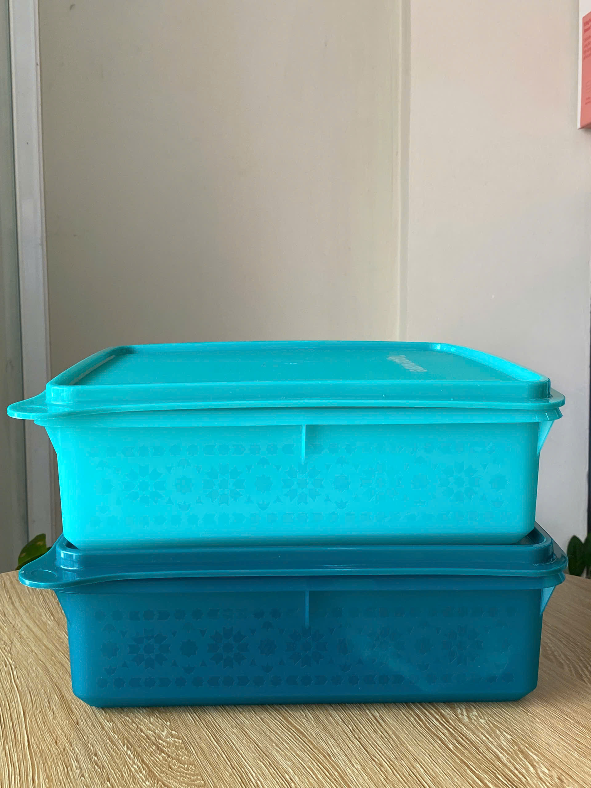 Tupmalay - Hộp Vuông Trữ Mát Mosaic Keeper 2.9 L (1 Hộp)