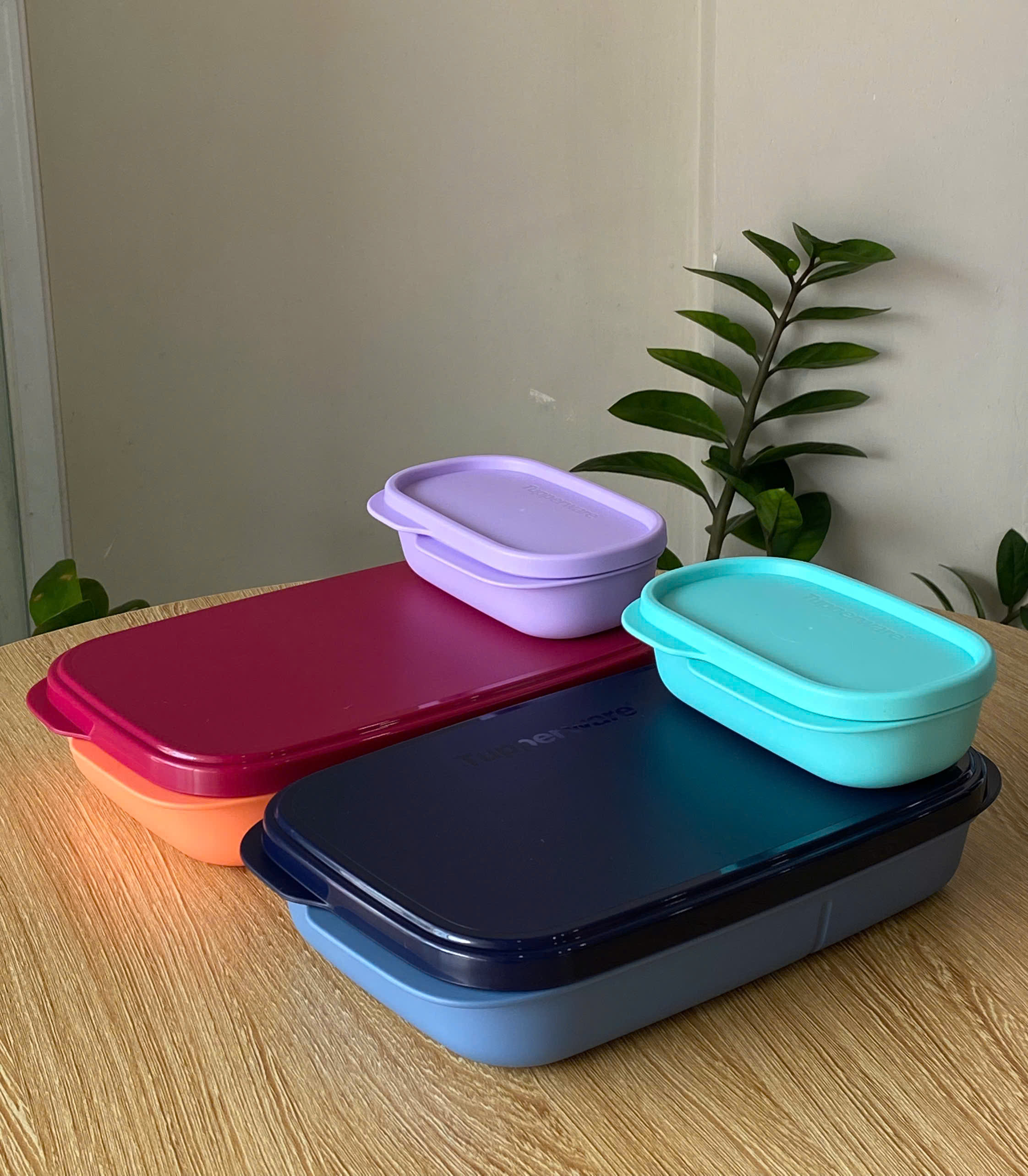 Tupmalay - Bộ Hộp Cơm 2 Hộp Slim Lunch Container (590ml+110ml)