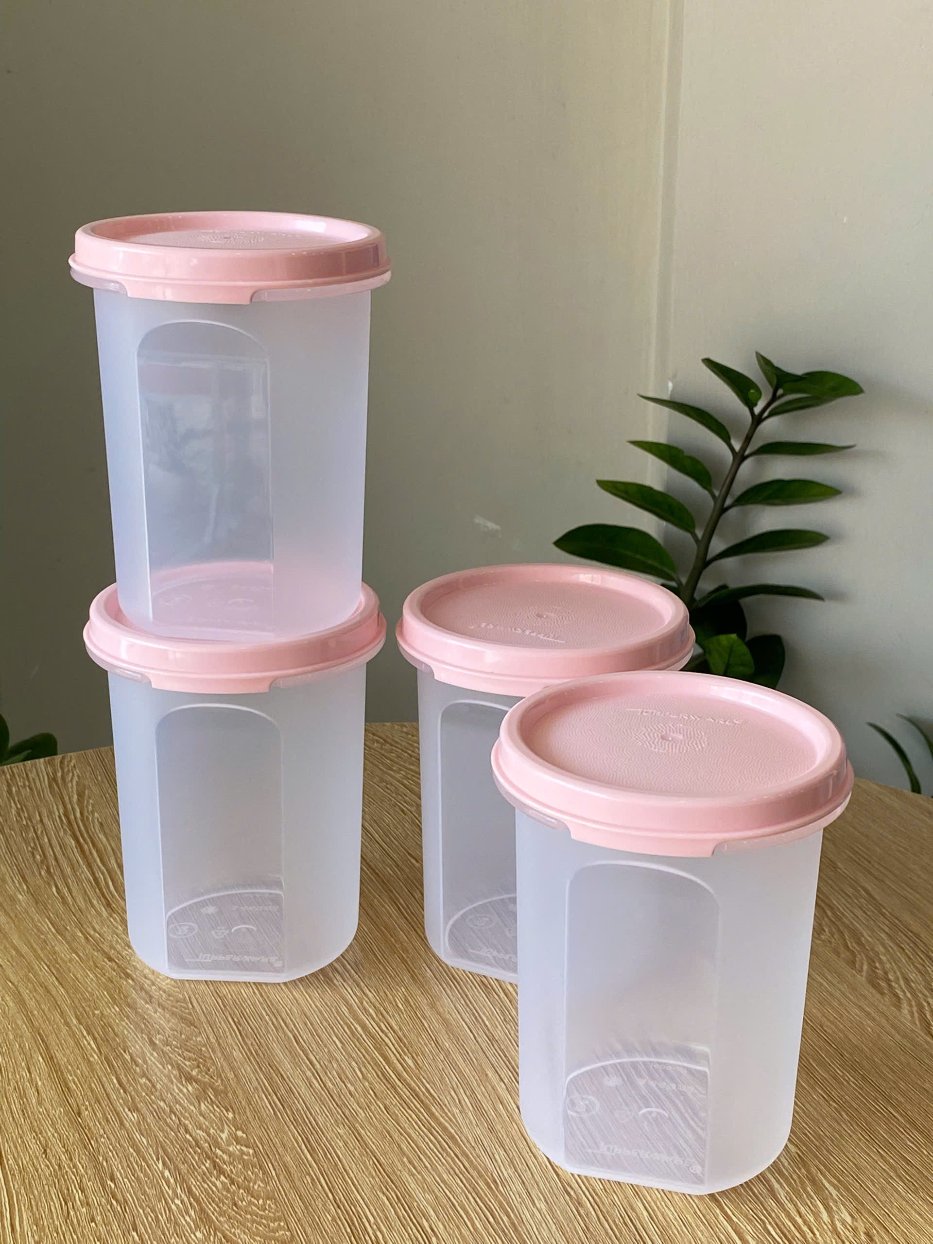 Tupmalay - Hộp 440ml Hình Trụ Tupperware Modular Mates