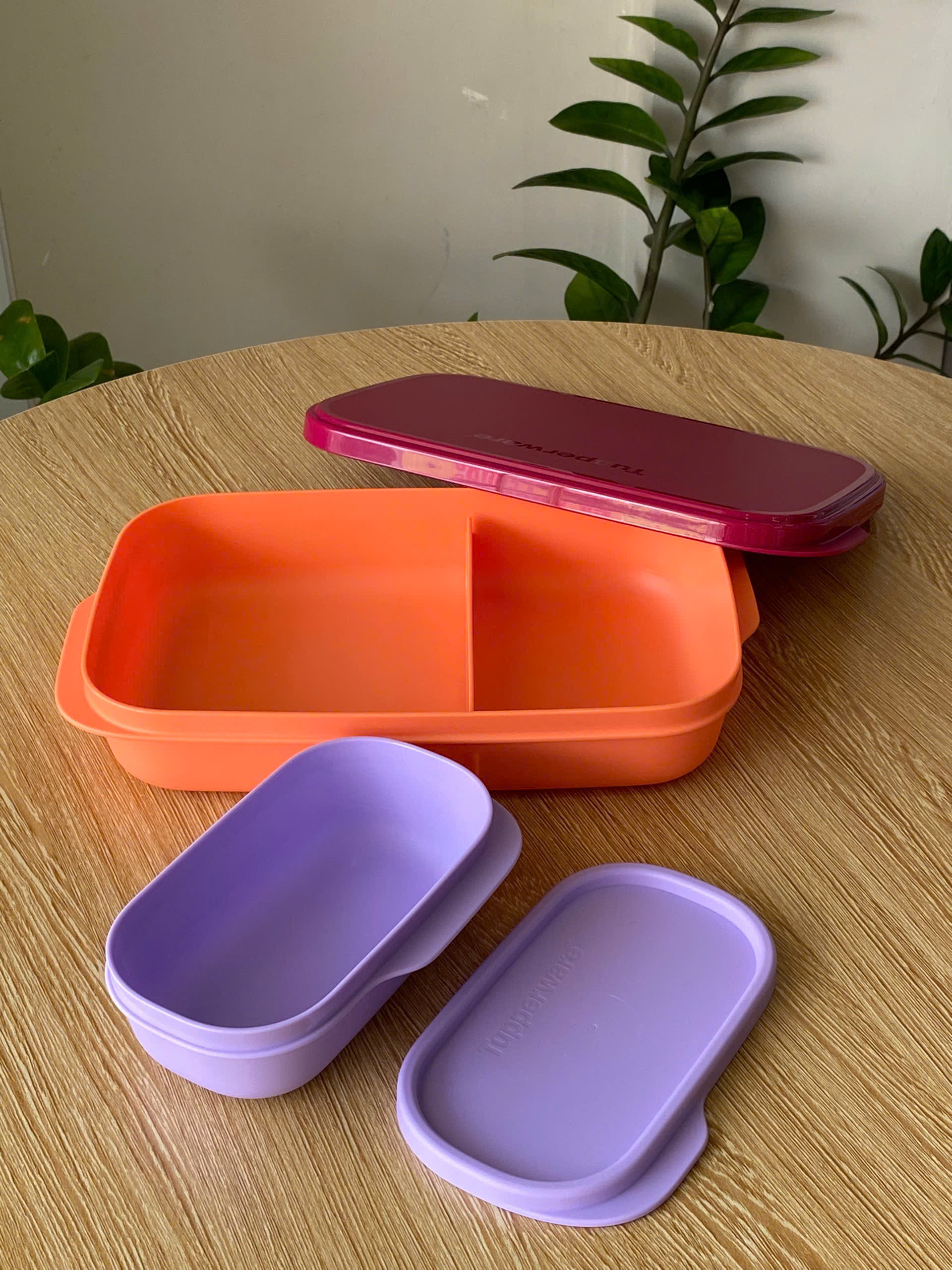 Tupmalay - Bộ Hộp Cơm 2 Hộp Slim Lunch Container (590ml+110ml)