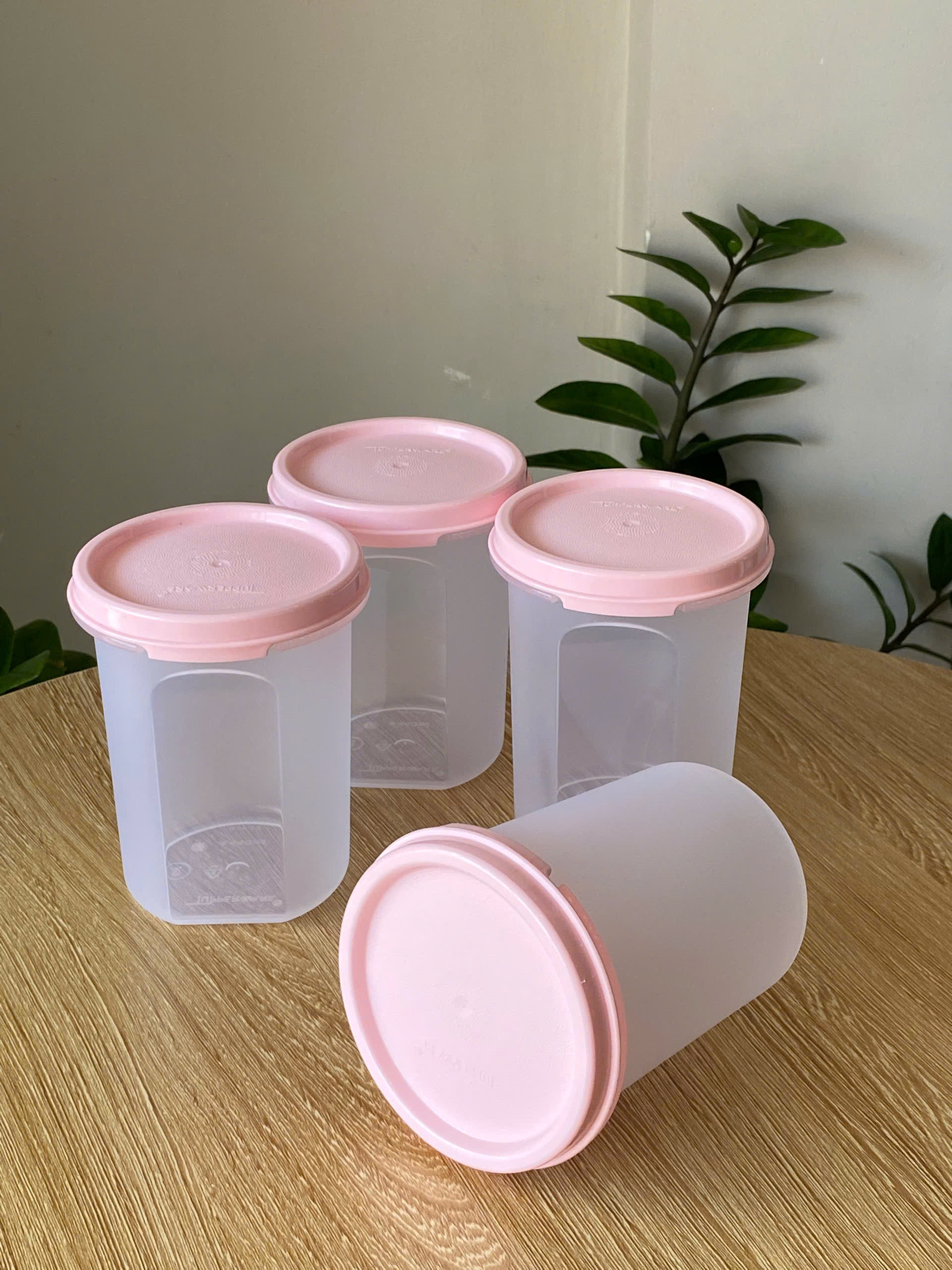Tupmalay - Hộp 440ml Hình Trụ Tupperware Modular Mates