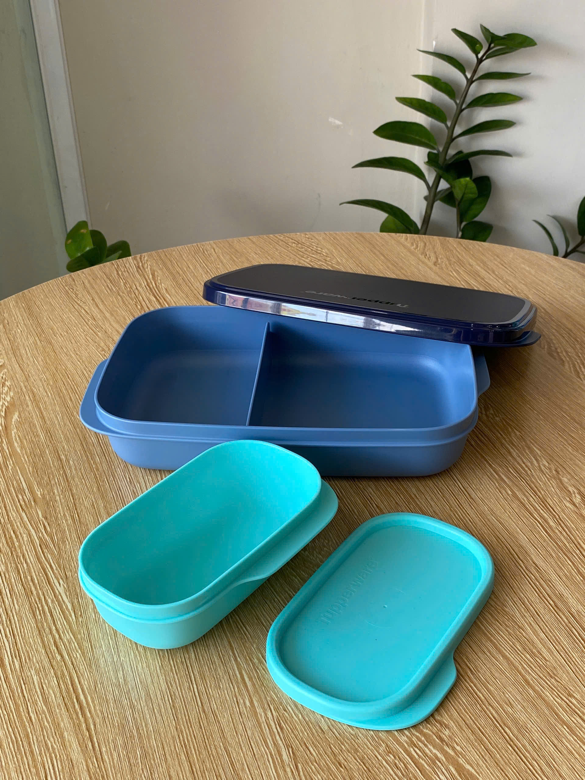 Tupmalay - Bộ Hộp Cơm 2 Hộp Slim Lunch Container (590ml+110ml)