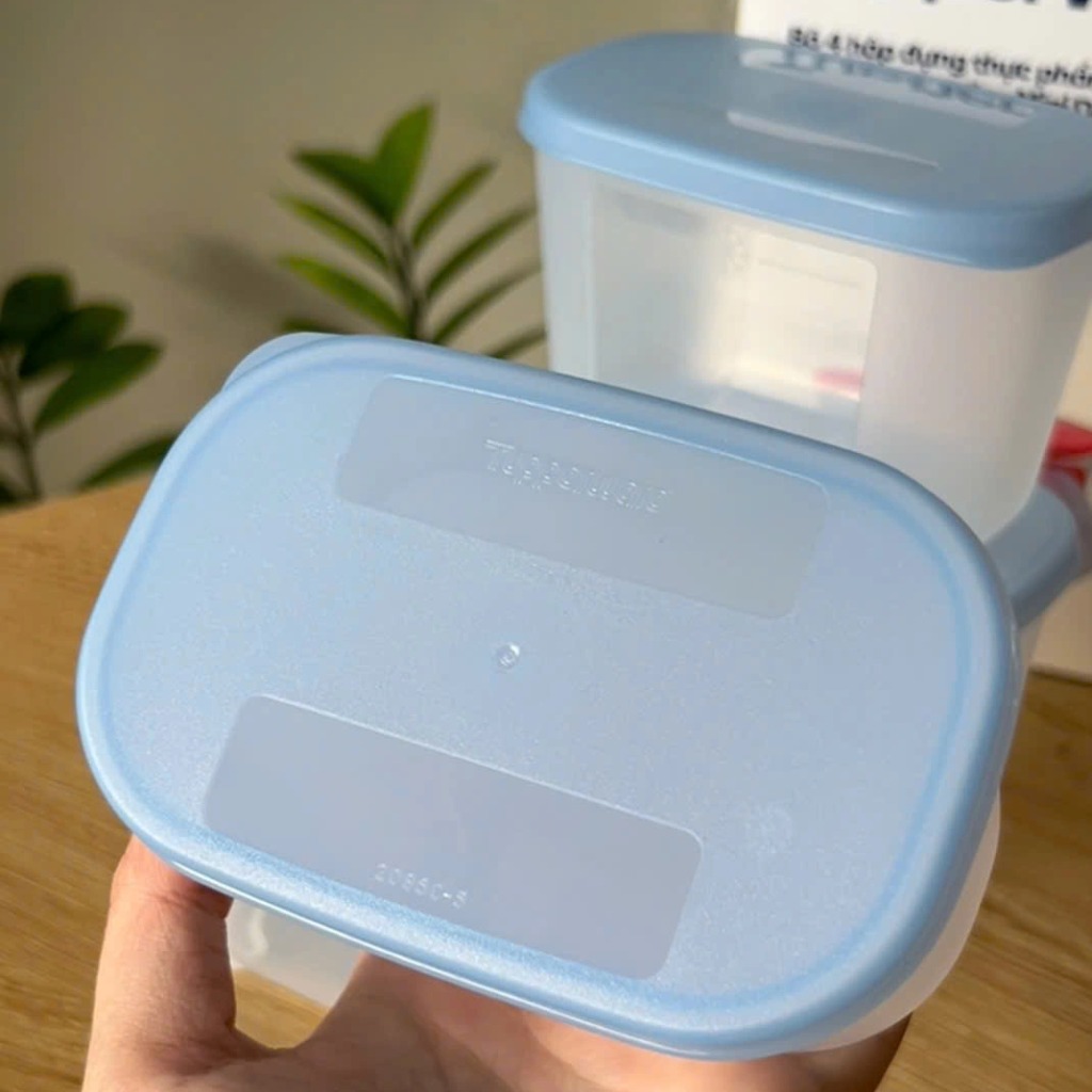 Bộ 4 Hộp Tupperware Trữ Đông Gen I Mini 300ml - New Tupperware Chính Hãng