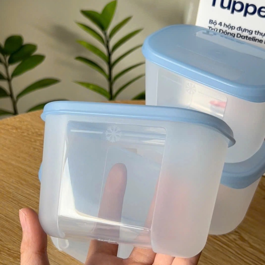 Bộ 4 Hộp Tupperware Trữ Đông Gen I Mini 300ml - New Tupperware Chính Hãng