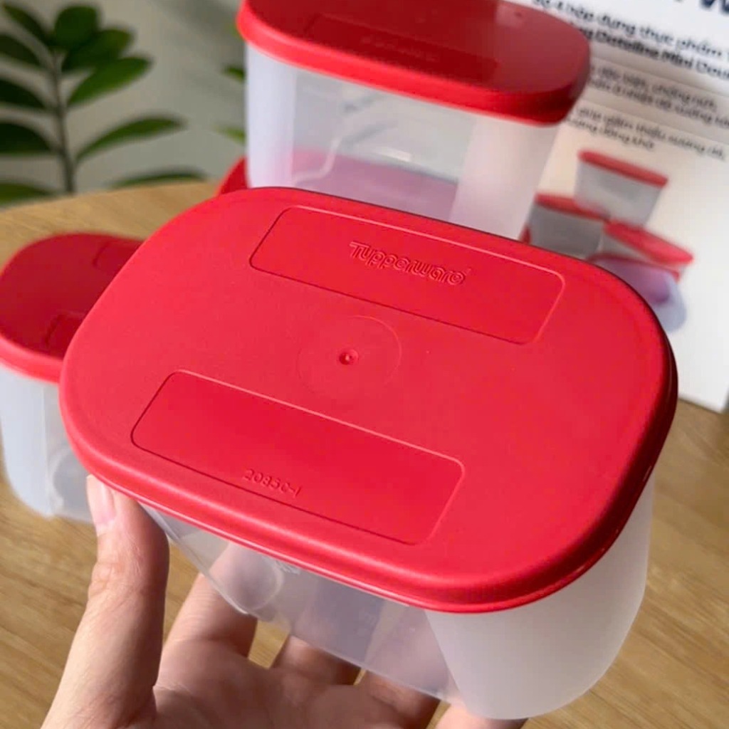 Bộ 4 Hộp Tupperware Trữ đông Dateline Mini Double 300ml - New Tupperware Chính Hãng