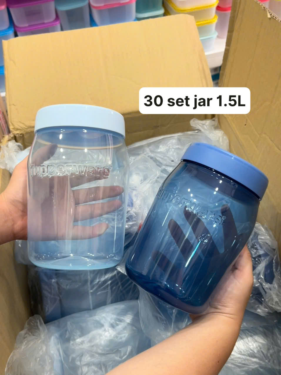 Tupmalay Bình Jar Size Lớn (01 Bình)