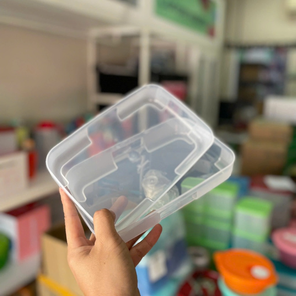 Hộp Tupperware Trữ Đông 650ml Dẹt - Nắp Hồng