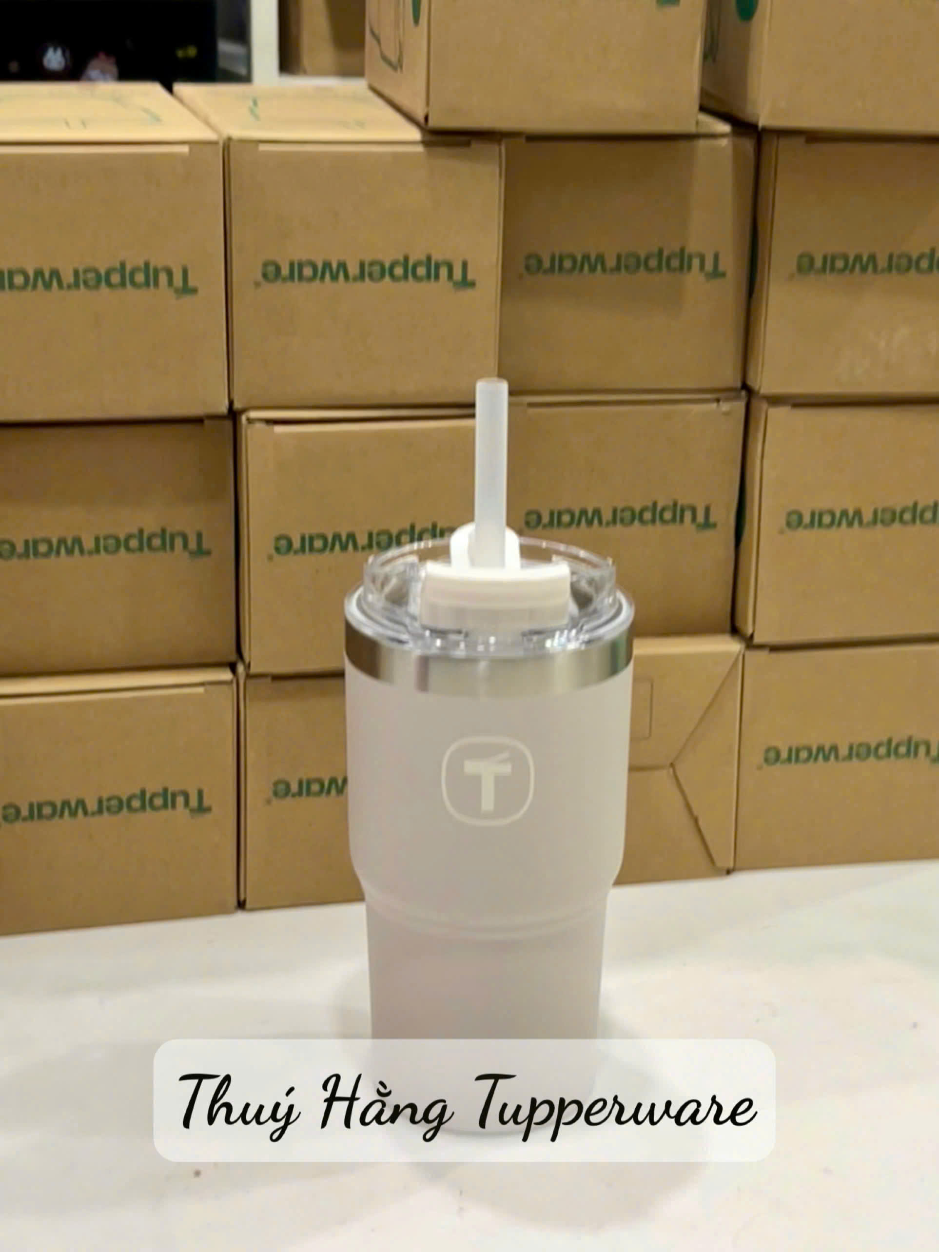 Ly Giữ Nhiệt Tupperware Big T 660ml / 1.1L - Có Ống Hút - Tupperware Trung Chính Hãng