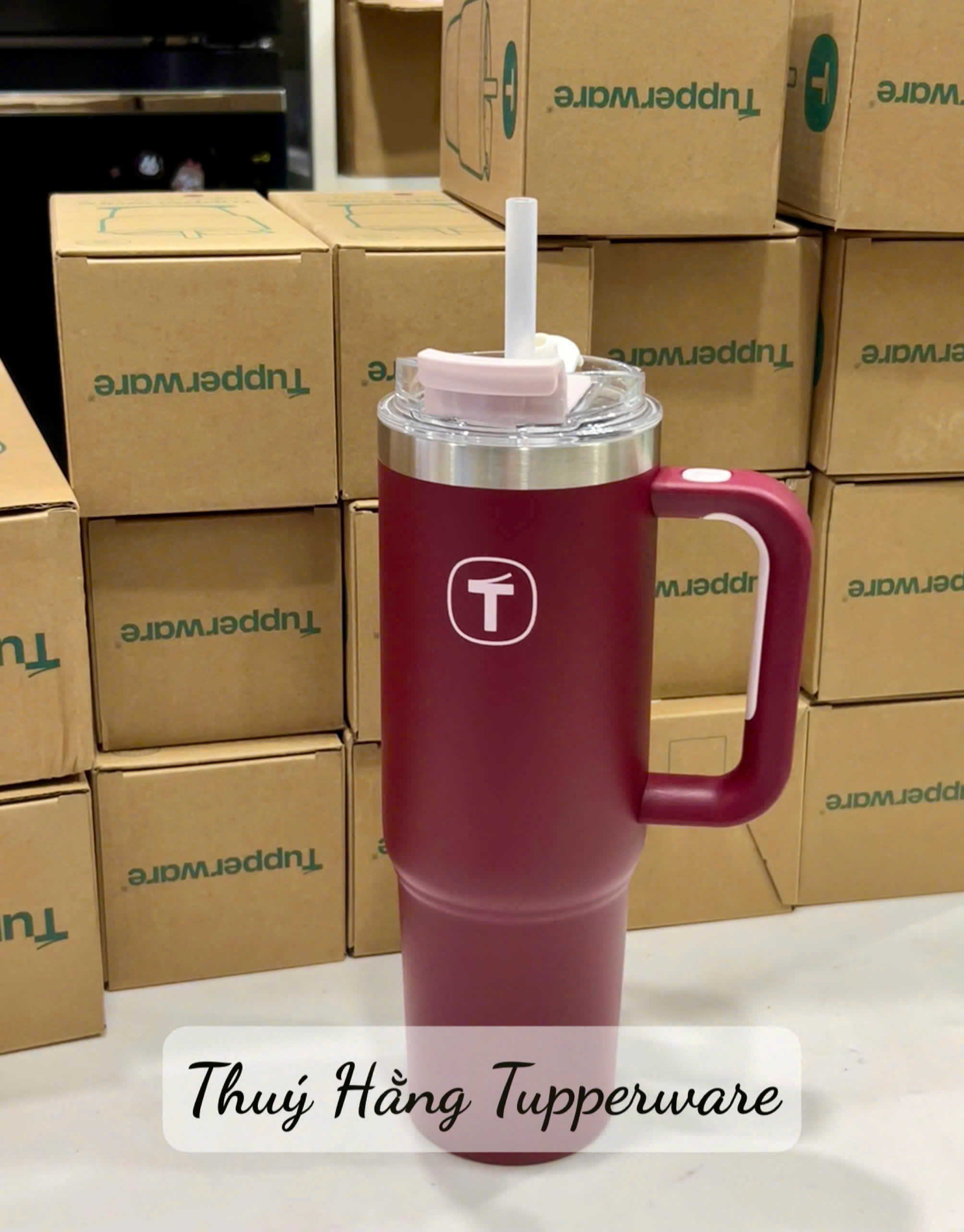 Ly Giữ Nhiệt Tupperware Big T 660ml / 1.1L - Có Ống Hút - Tupperware Trung Chính Hãng