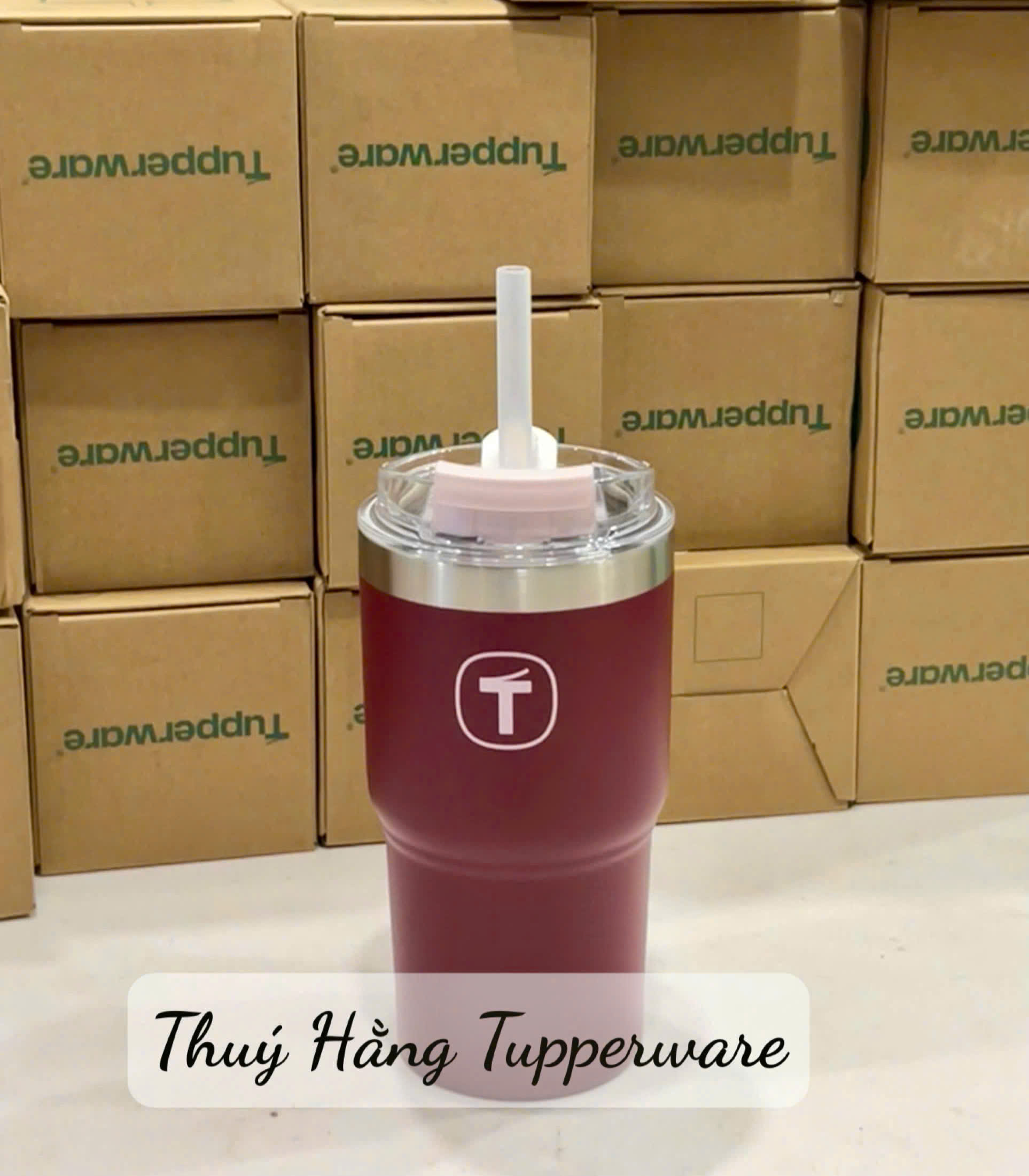 Ly Giữ Nhiệt Tupperware Big T 660ml / 1.1L - Có Ống Hút - Tupperware Trung Chính Hãng