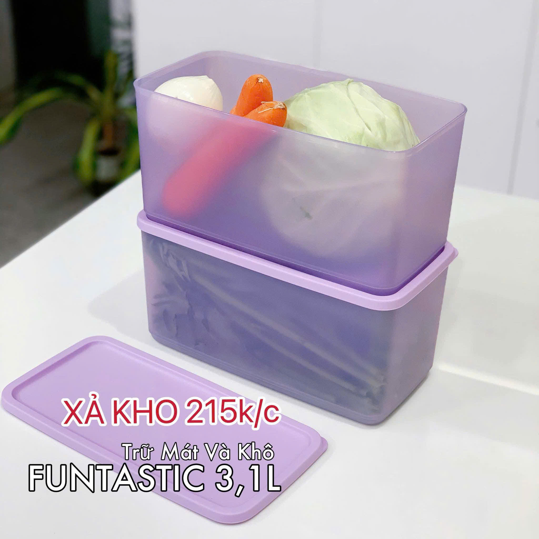 Combo 12 Hộp Đông Mát Tupperware