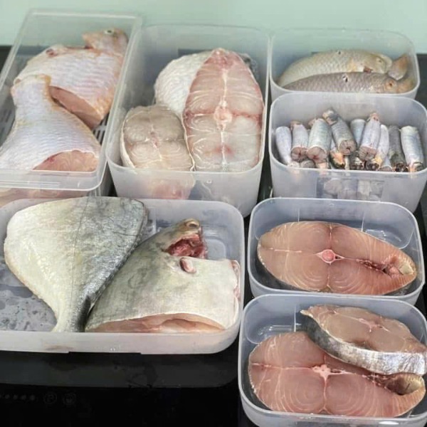 Combo 10 Hộp Đông Mát Tupperware