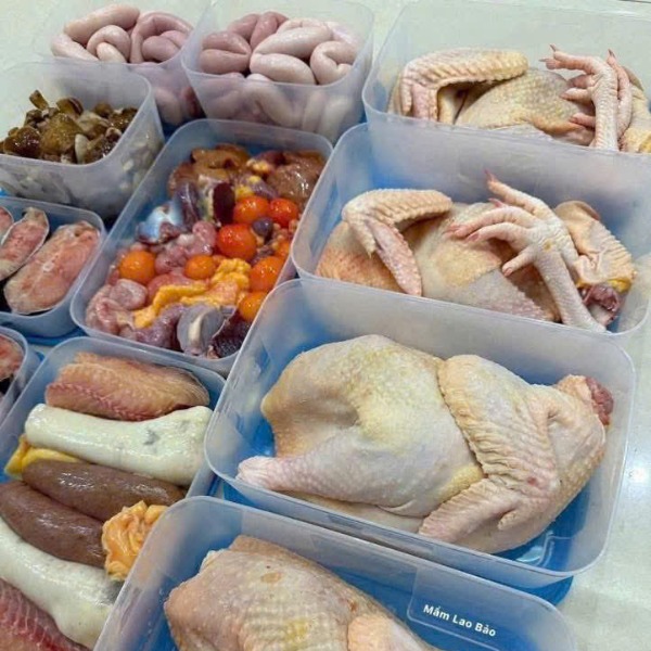 Combo 14 Hộp Đông Tupperware Đa Size