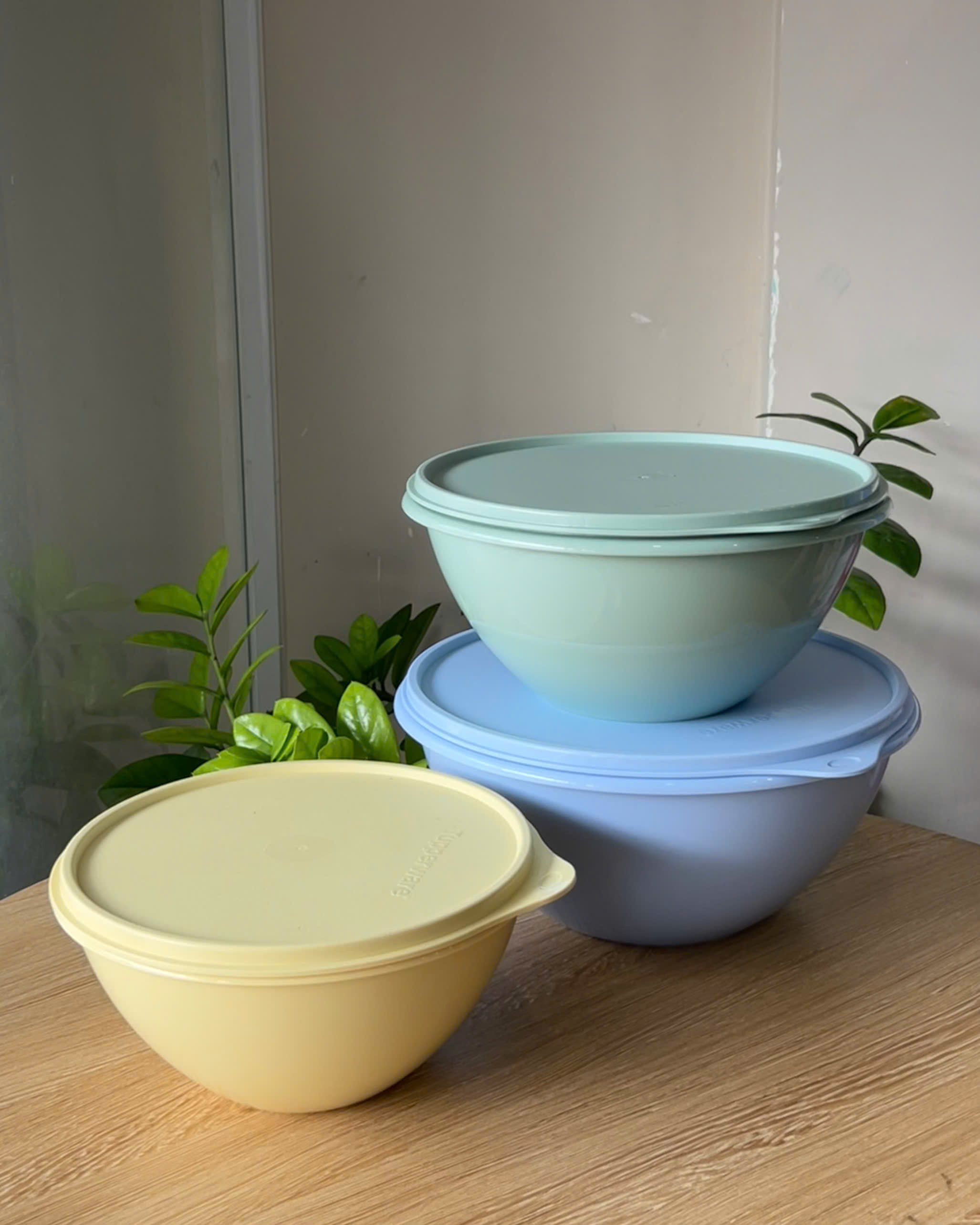 Hộp Đựng Thực Phẩm Tupperware Trữ Khô Và Mát Original Bowl 2.5L 1.7L 1.1L - New Tupperware