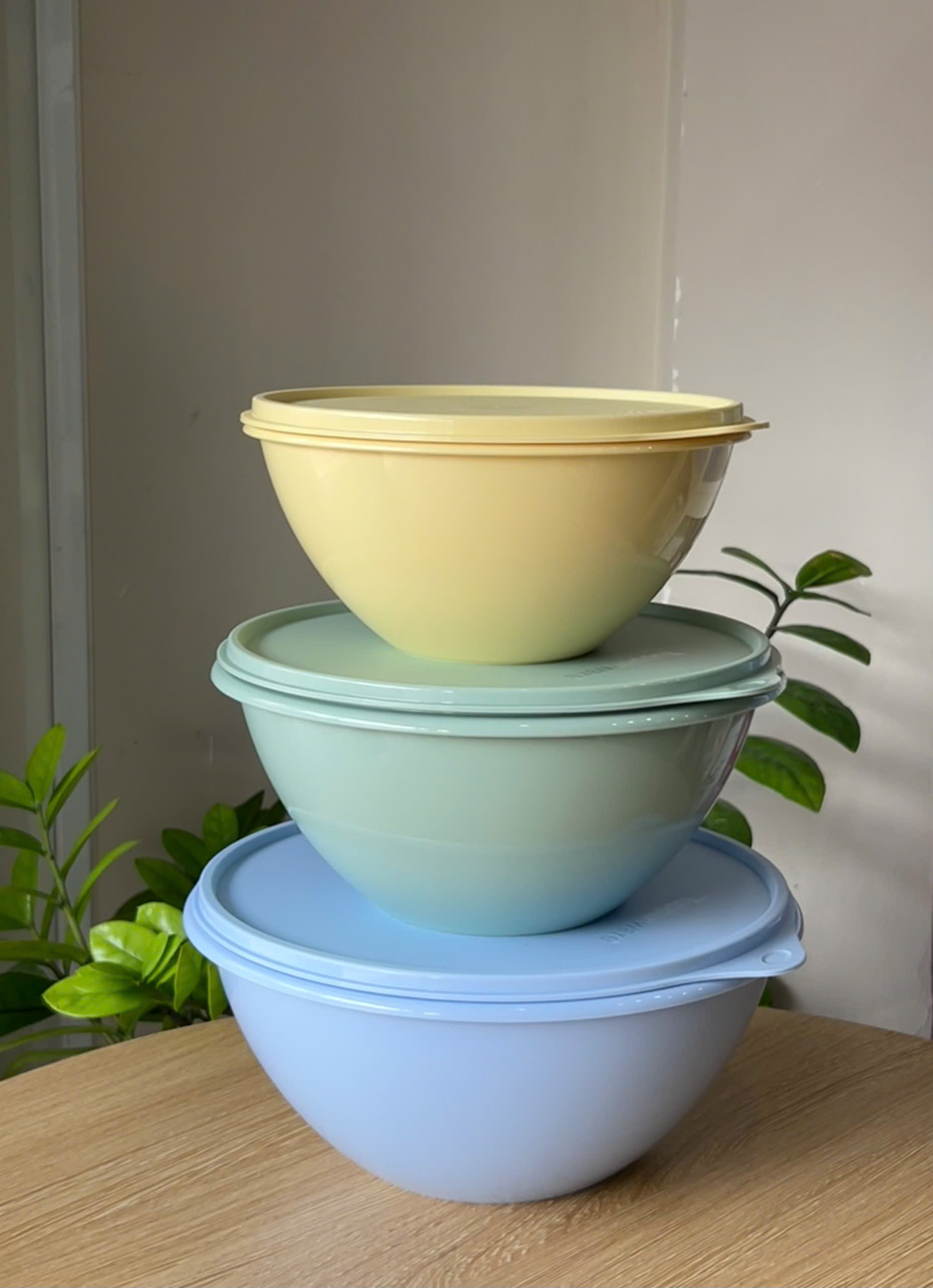 Hộp Đựng Thực Phẩm Tupperware Trữ Khô Và Mát Original Bowl 2.5L 1.7L 1.1L - New Tupperware