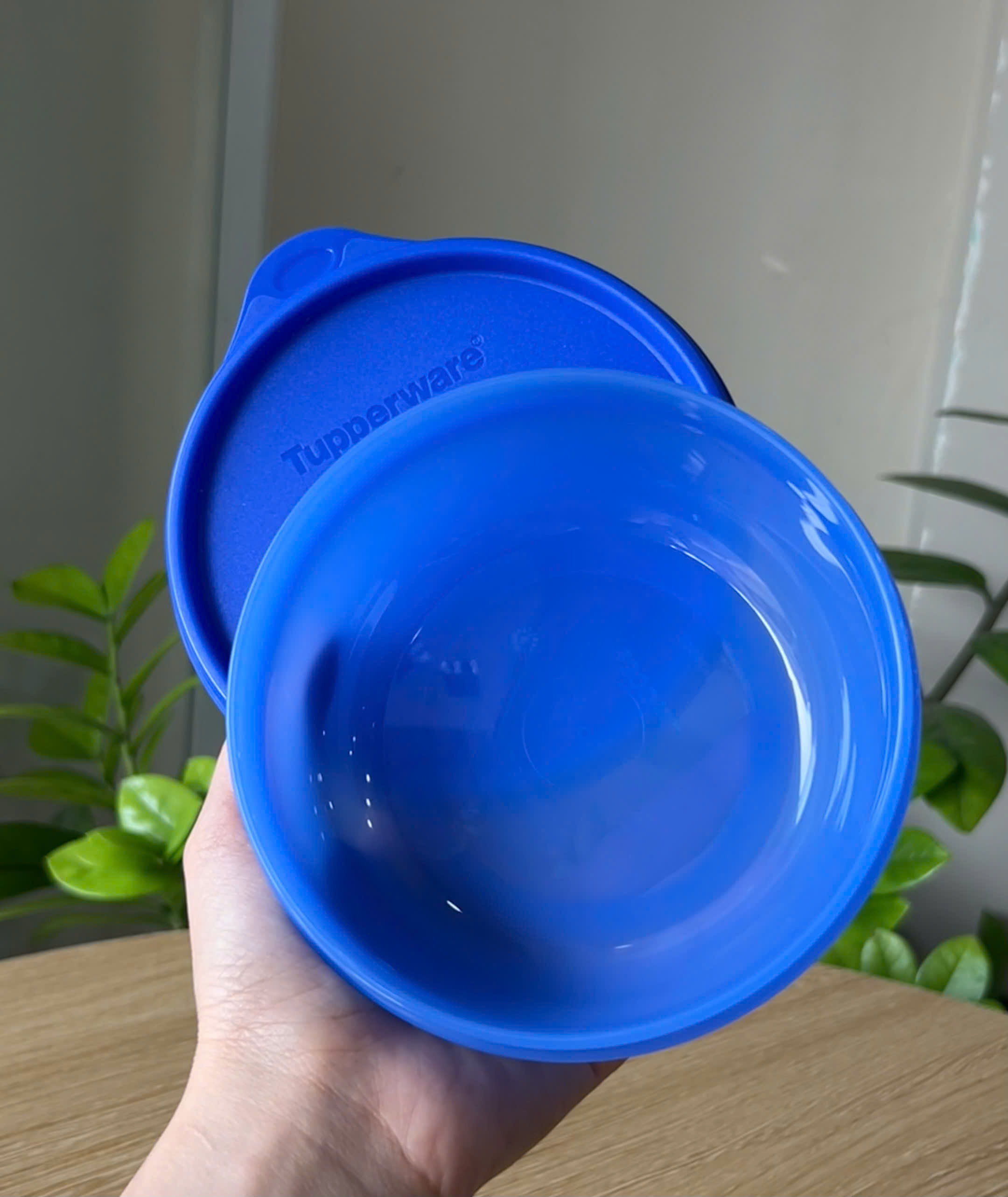 Hộp Tupperware Trữ Mát Modular Bowl Xanh Dương Đậm - New Tupperware