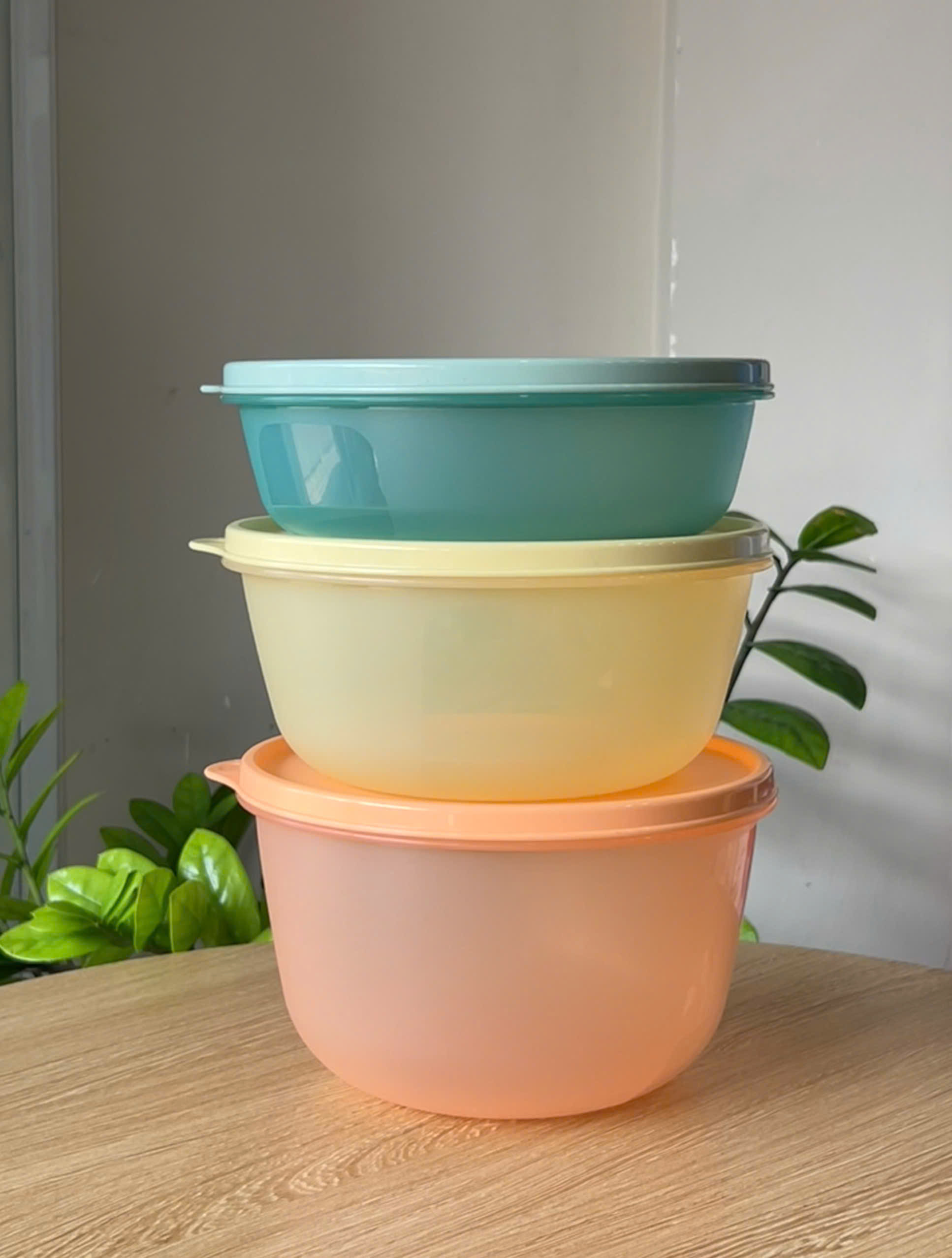 3 hộp đựng thực phẩm Tupperware trữ khô và mát Modular Bowl Variety 1.9L 1.4L 950ml - New Tupperware