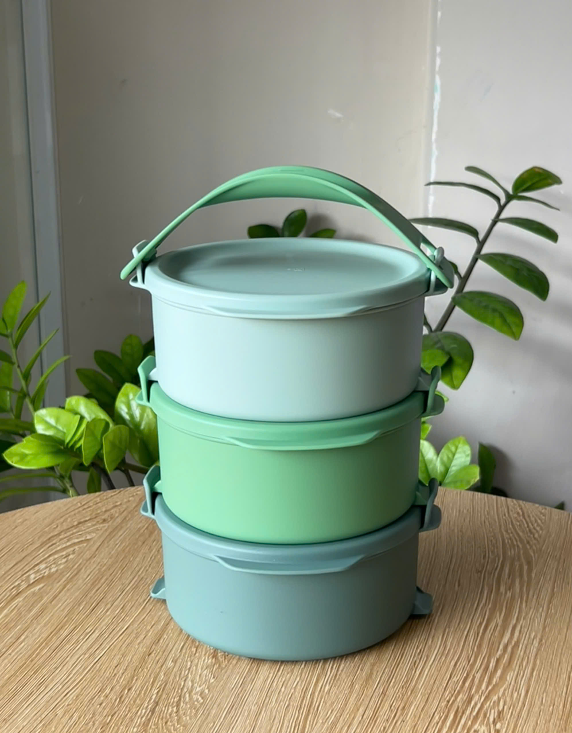 Bộ 3 Hộp Cơm Tupperware Click To Go Small Round - New Tupperware