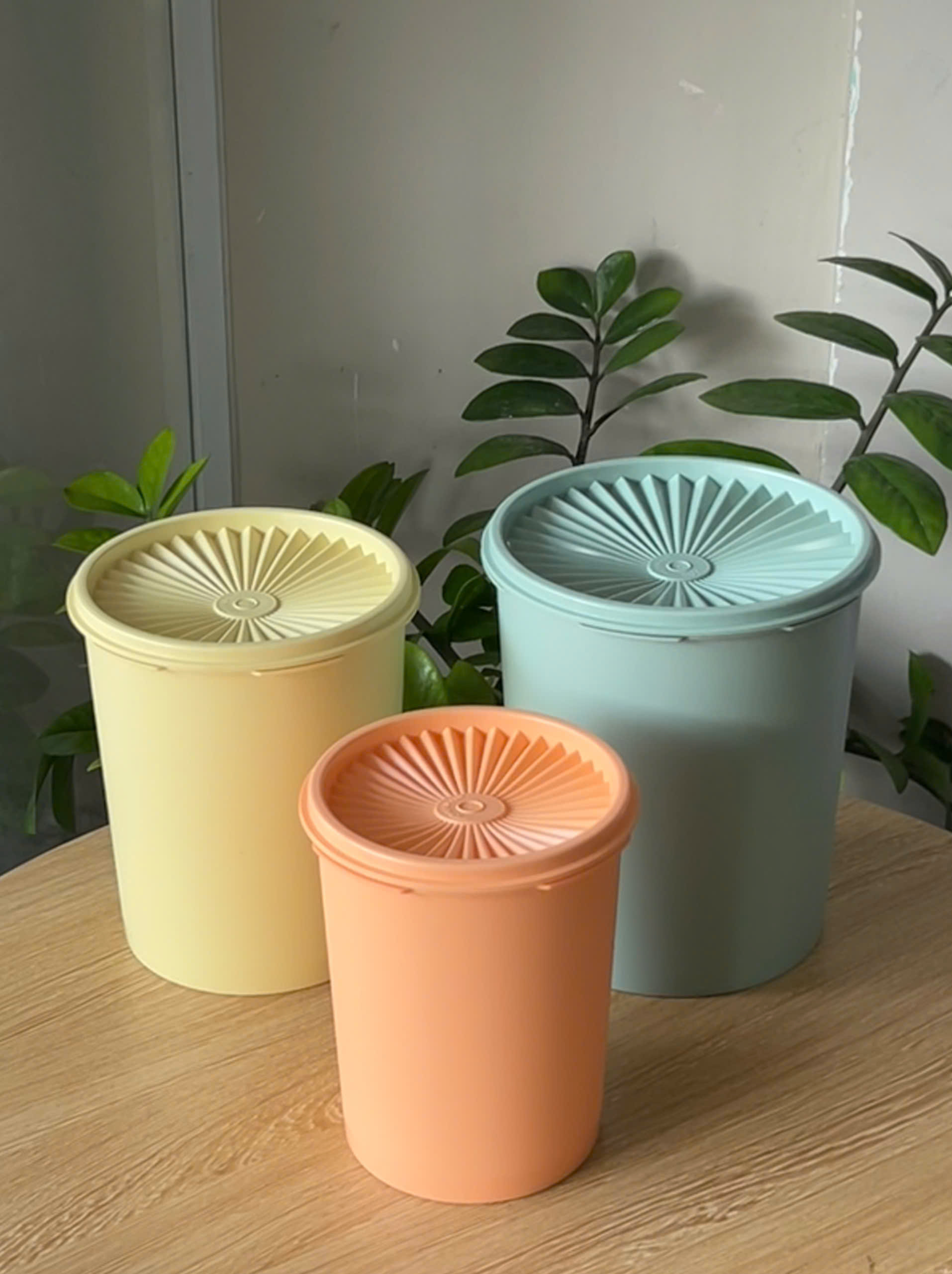 3 Hộp Đựng Thực Phẩm Tupperware Decorator 2.7L, 1.8L 1.2L - New Tupperware