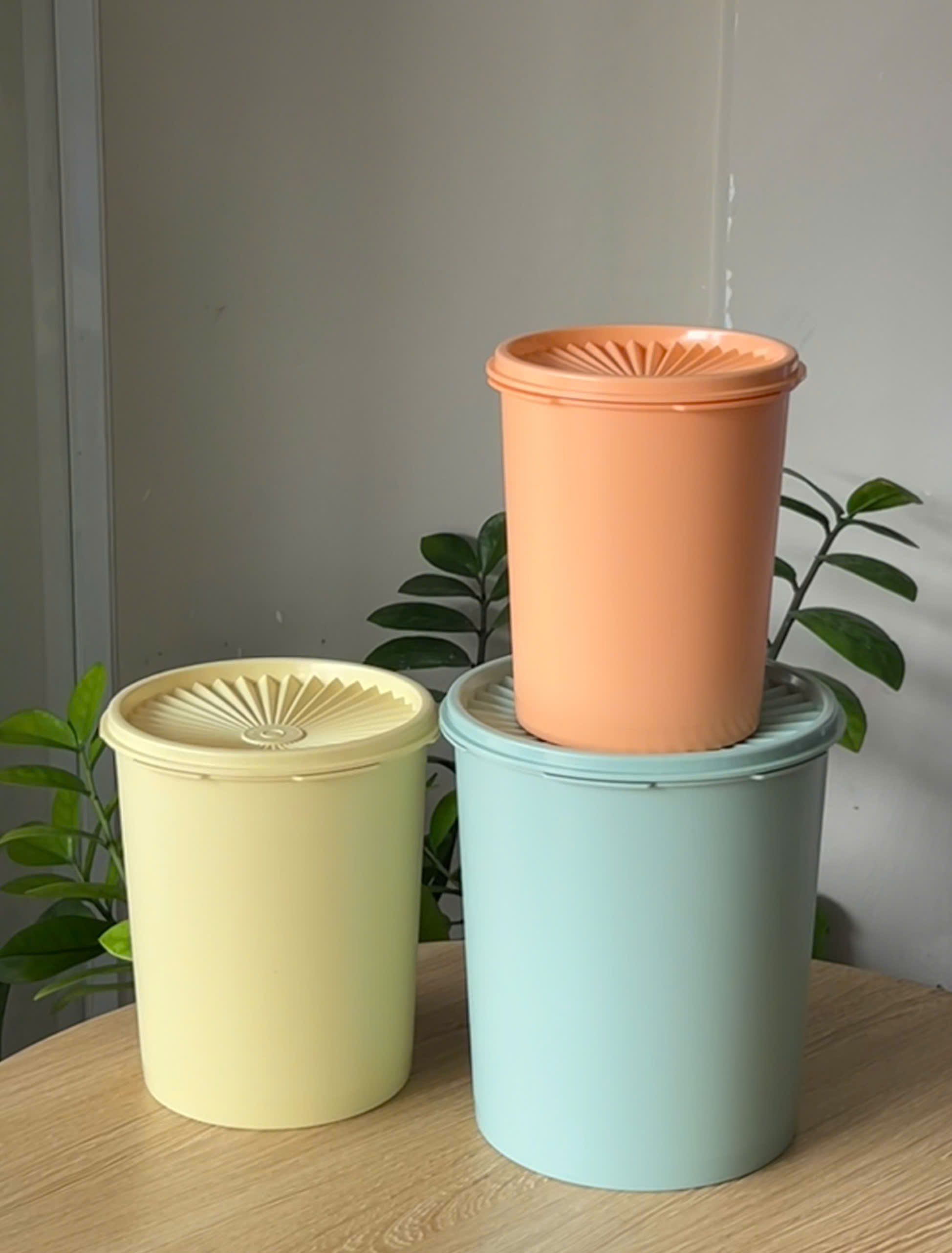 3 Hộp Đựng Thực Phẩm Tupperware Decorator 2.7L, 1.8L 1.2L - New Tupperware