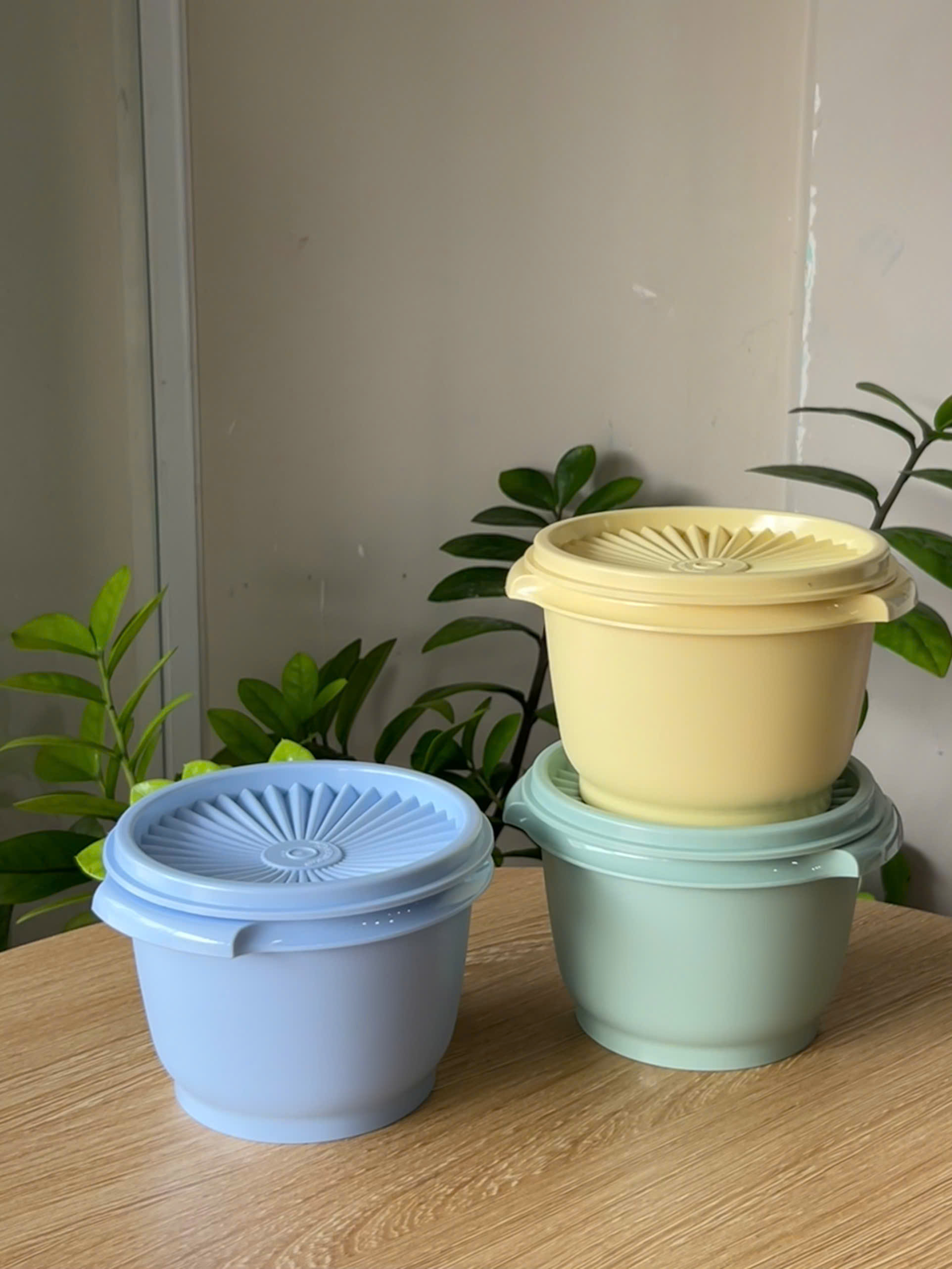 3 Hộp Đựng Thực Phẩm Tupperware Trữ Khô Và Mát Heritage Small 600ml - New Tupperware