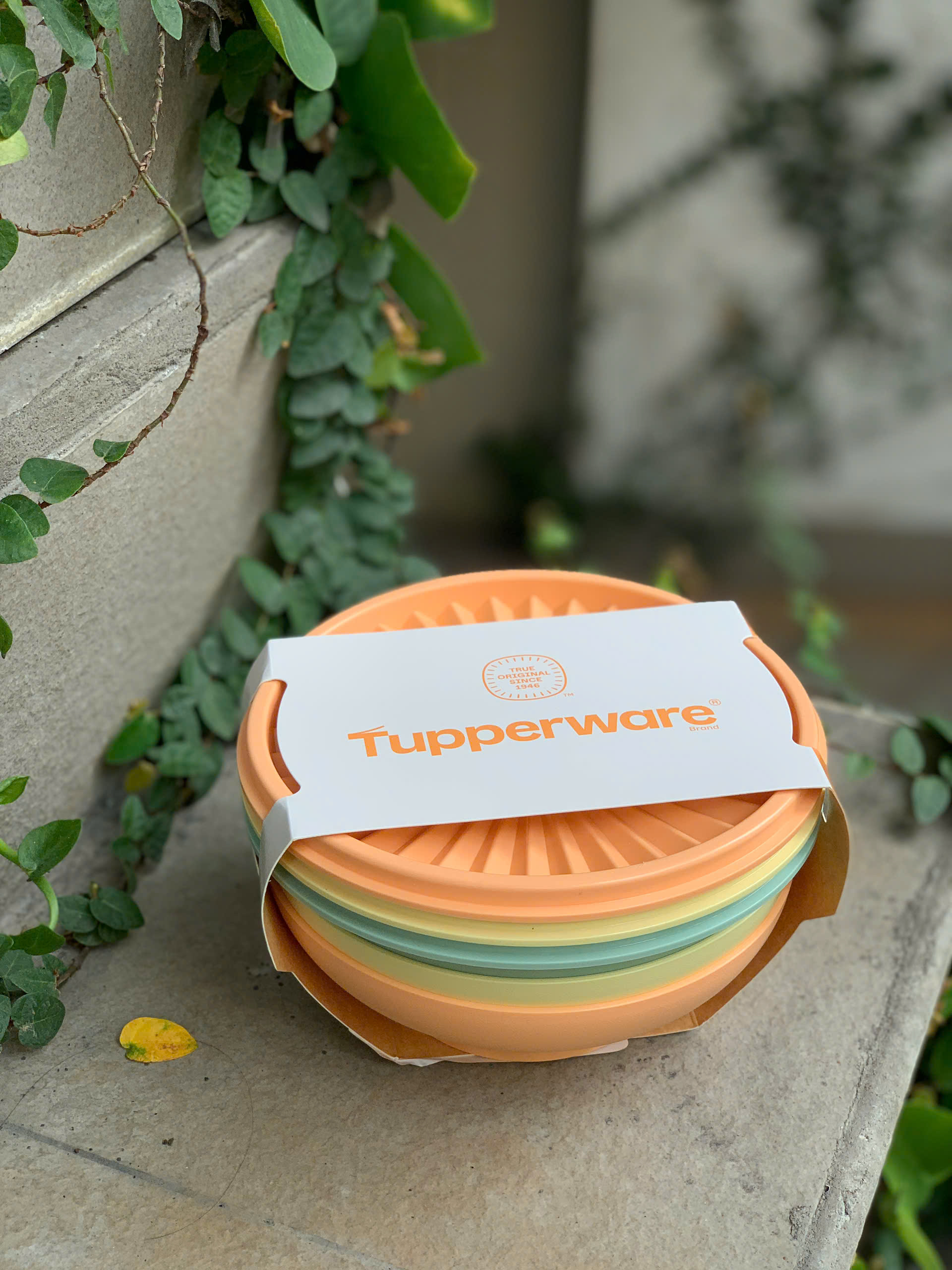 Trọn Bộ 3 Hộp Đựng Thực Phẩm Tupperware Trữ Khô Và Mát Heritage Bowl 400ml - New Tupperware
