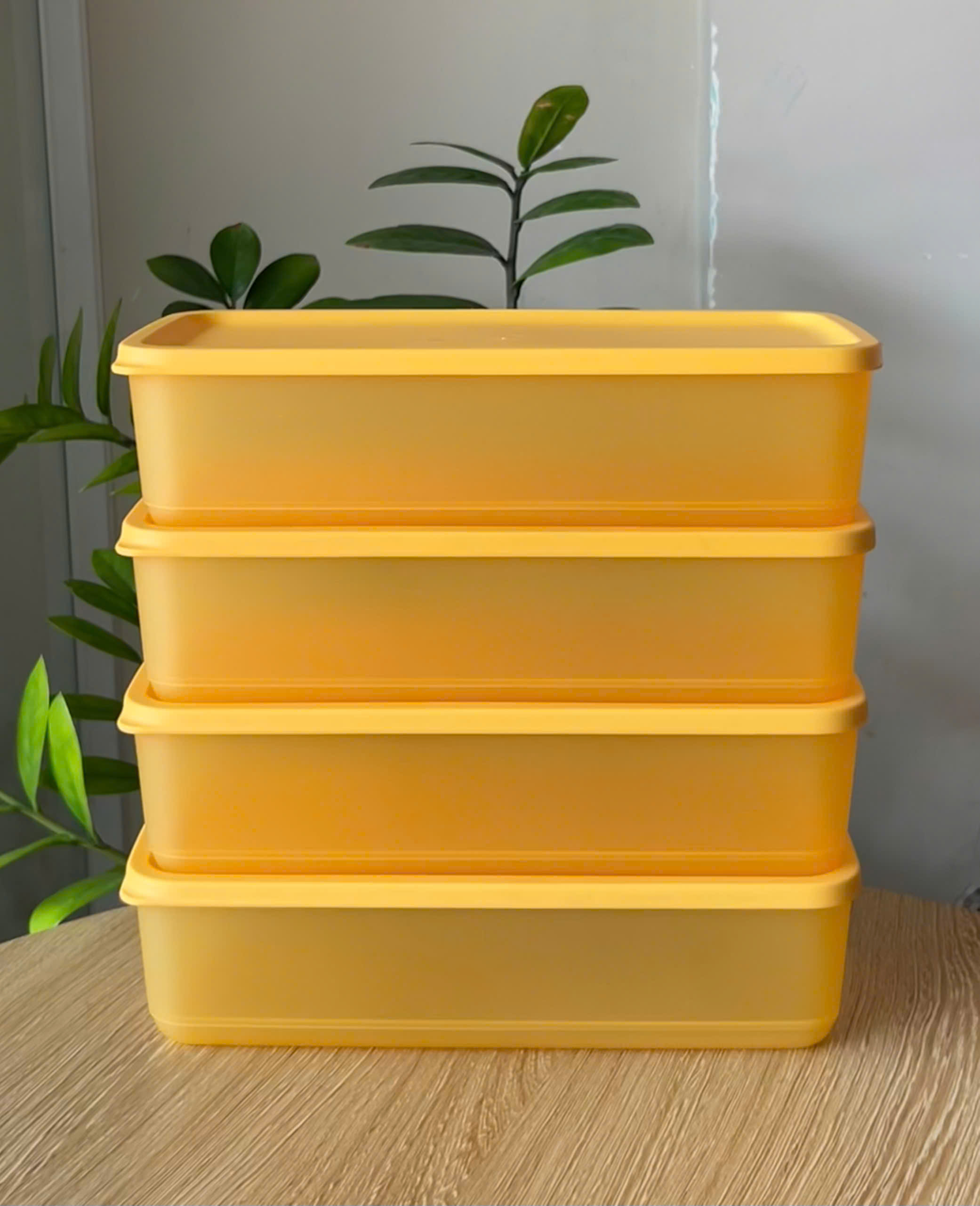 Hộp Tupperware Trữ Mát 1L + 1.4l + 3.1L - Tupperware Chính Hãng