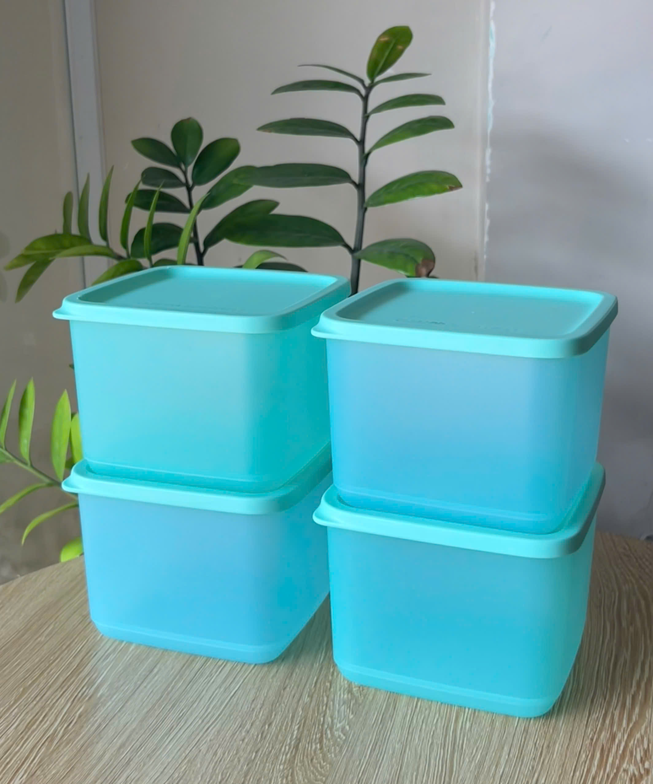 Hộp Tupperware Trữ Mát 1L + 1.4l + 3.1L - Tupperware Chính Hãng