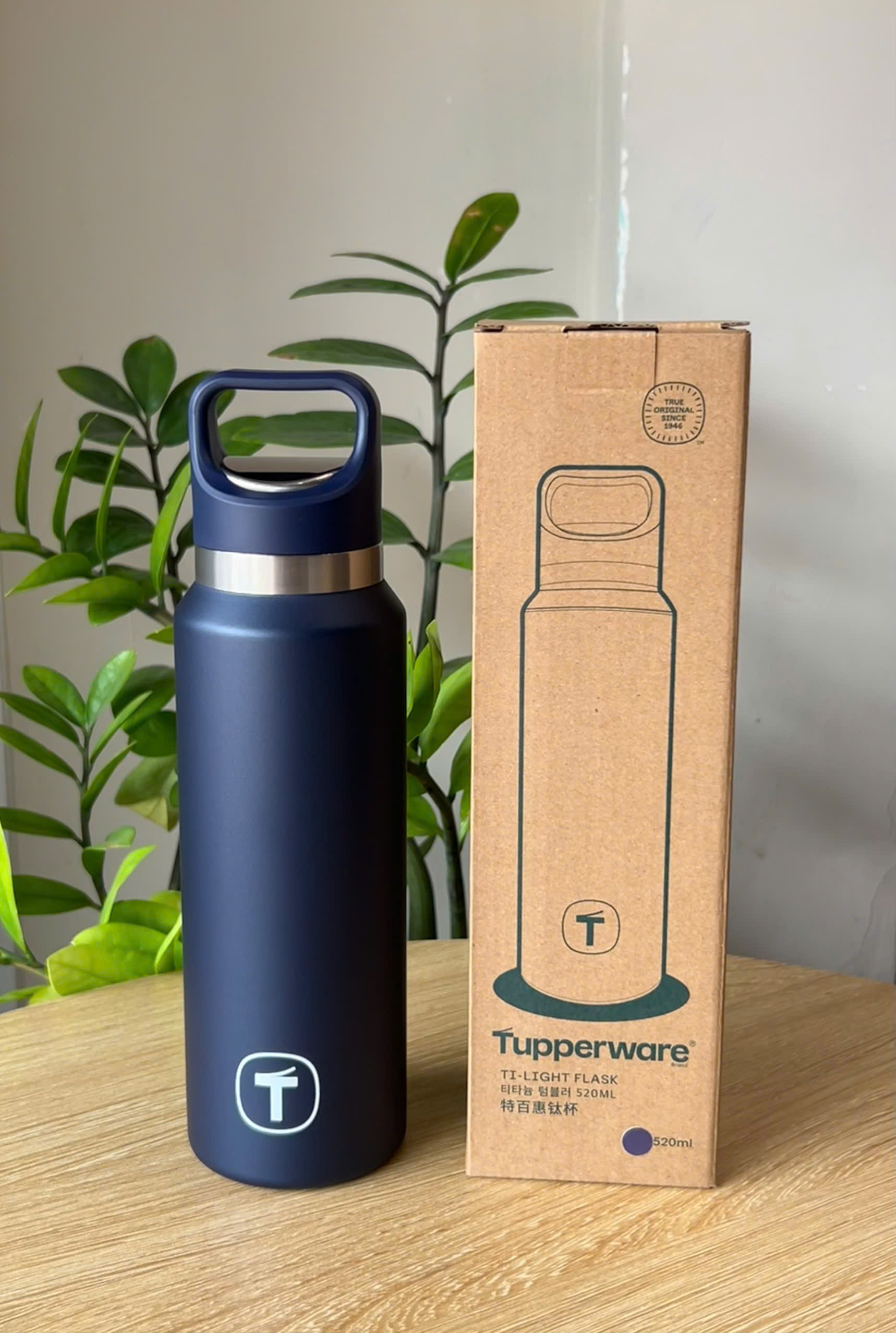 Bình Giữ Nhiệt Tupperware Titanium 520ml - Nocturnal Sea - New Tupperware