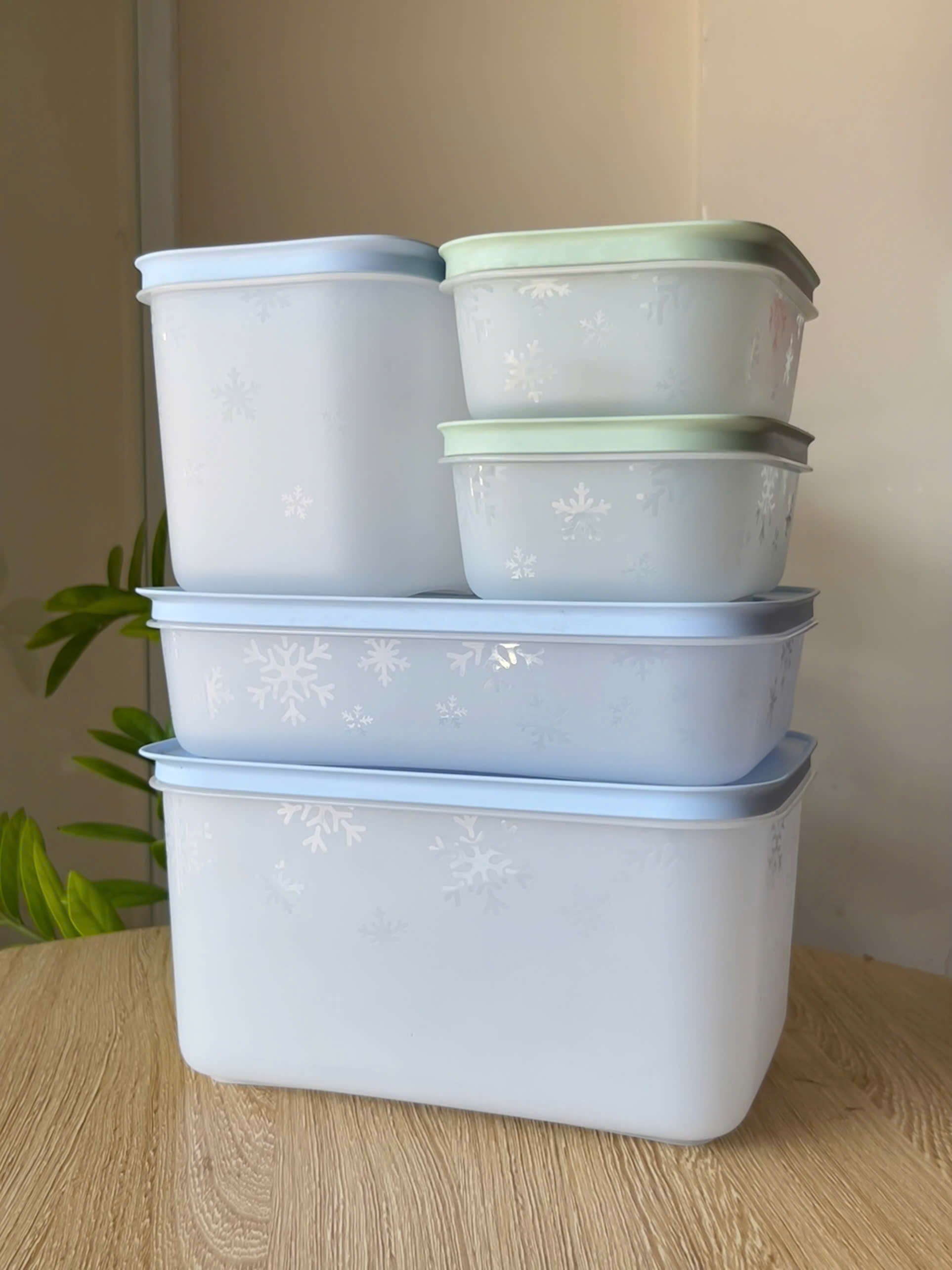 Bộ 5 Hộp Tupperware Trữ Đông Gen II - Đông Dẻo Cao Cấp - New Tupperware