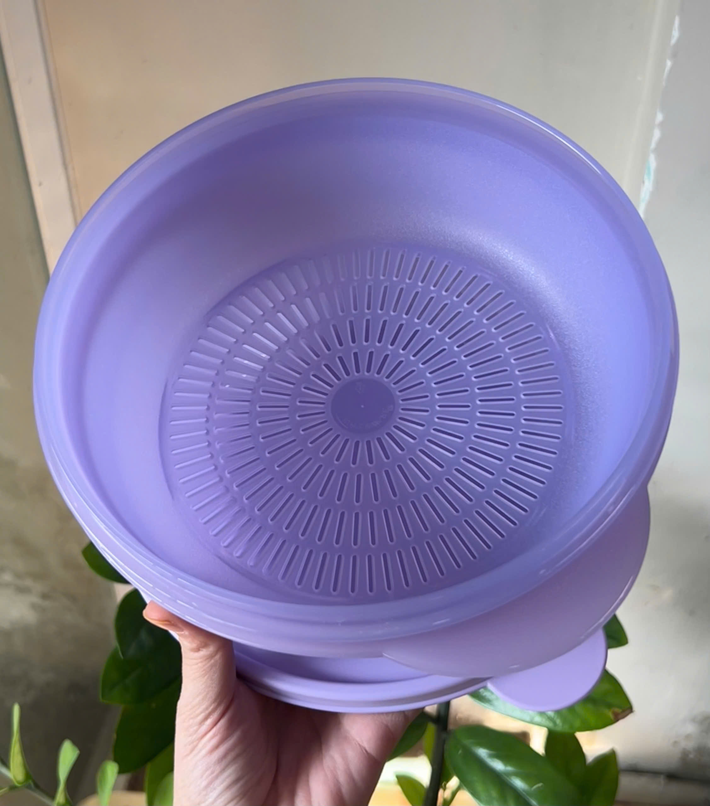 Hộp Bowl 1.5L Tupperware DùngcLò Ví Sóng Có Lưới Đáy Dạng Rổ - Màu Tím - Tupperware Trung Chính Hãng