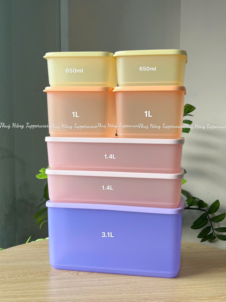 Combo Set 7 Hộp Mát 2h 650ml + 2h 1L + 2h 1.4L + 1h 3.1L