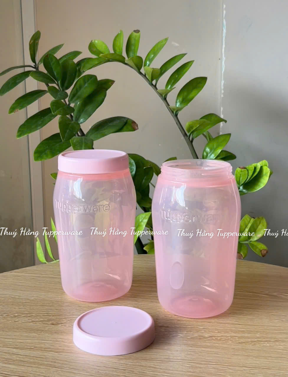 Hộp / Bình Jar đựng trà sữa, nước uống, gia vị...