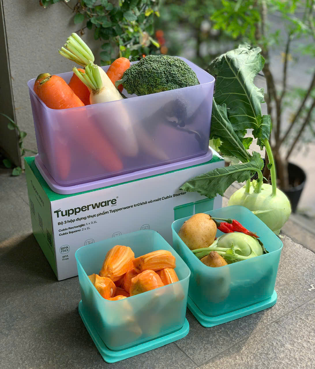 Bộ 3 Hộp Tupperware Trữ Mát Cubix Starter  3.1L & 1L - New Tupperware