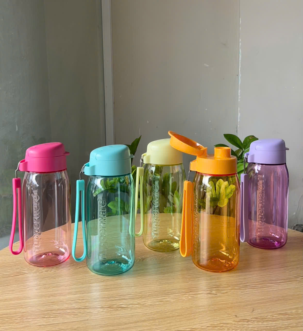 Bình nước Tupperware Lohas Flask 550ml - New Tupperware Chính Hãng